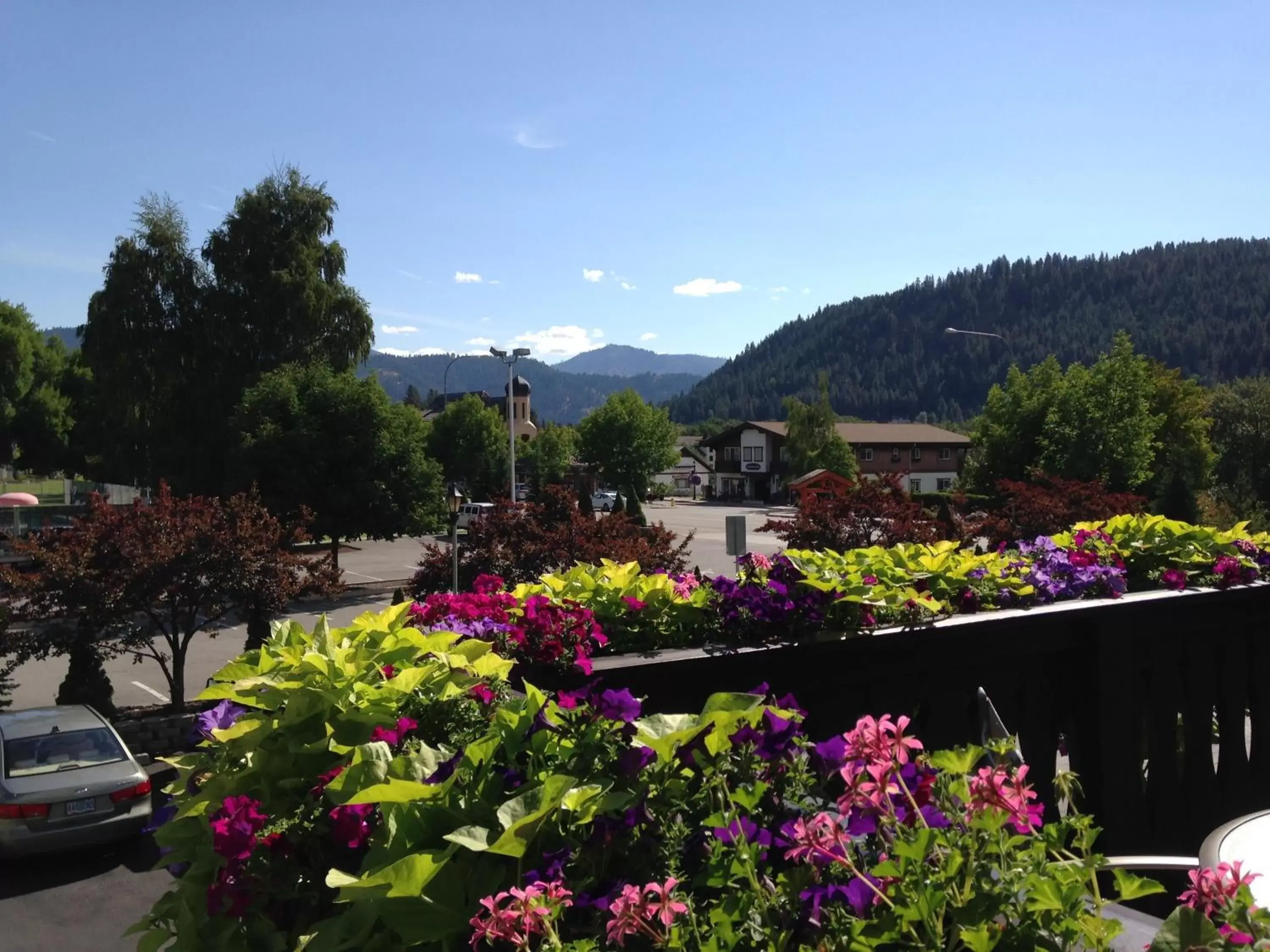 Area and facilities, Mountain View in Linderhof Inn