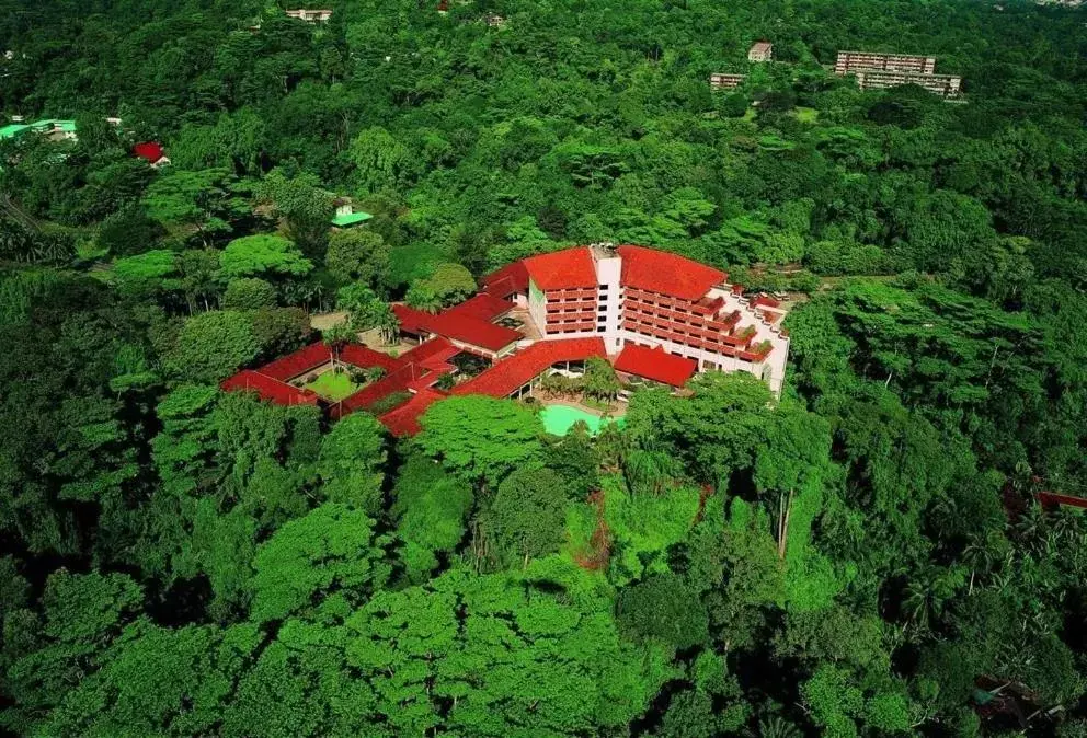 Bird's eye view, Bird's-eye View in Sabah Hotel