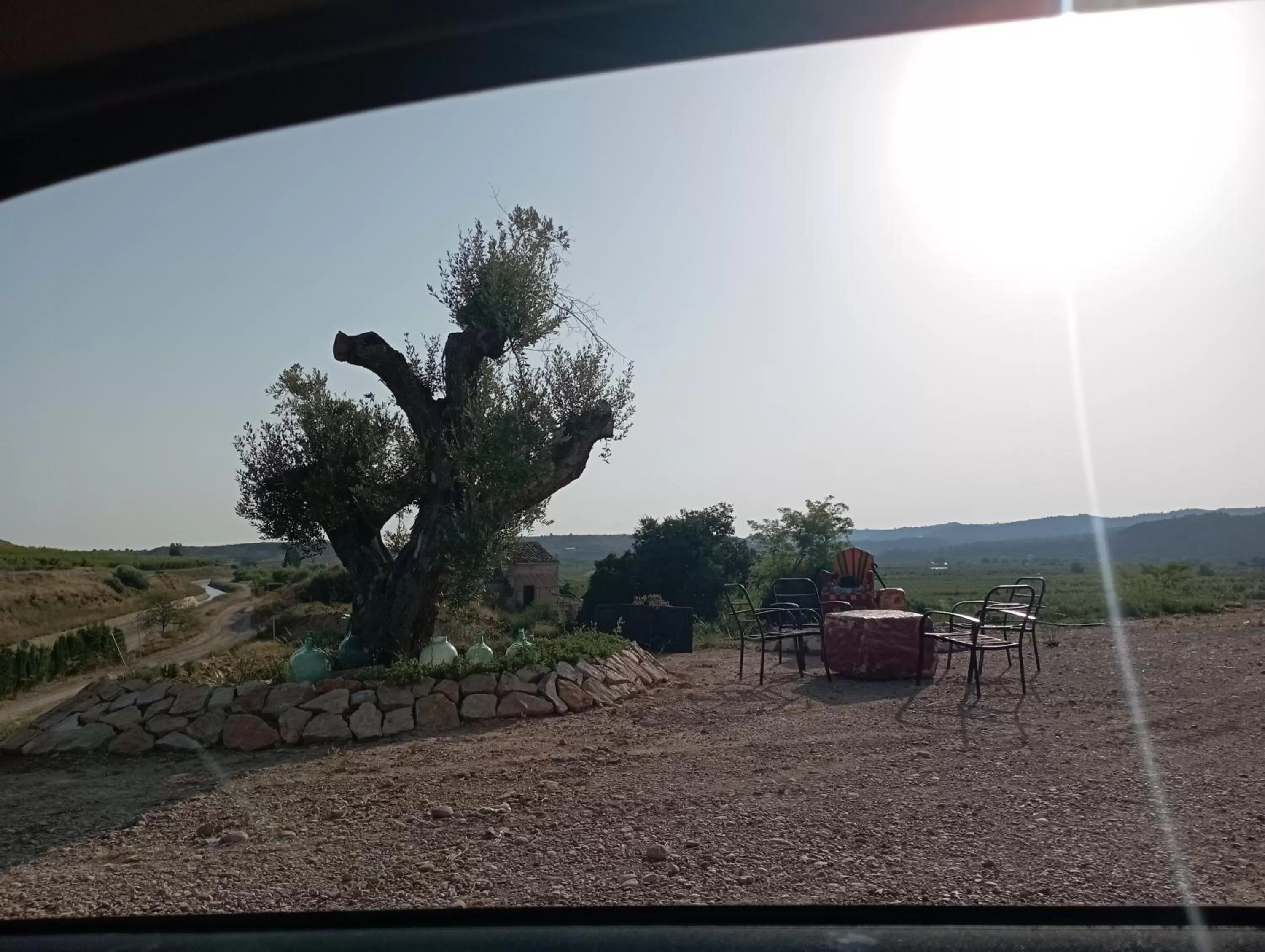 Garden in Cabezo Buñuel Hostal