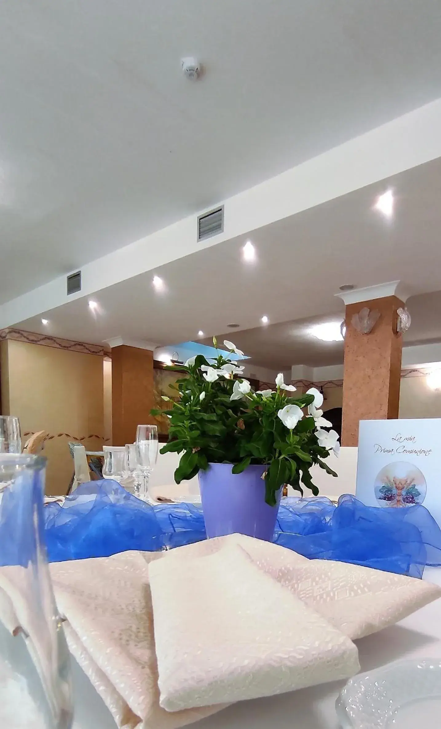Restaurant/places to eat, Banquet Facilities in Hotel Euro