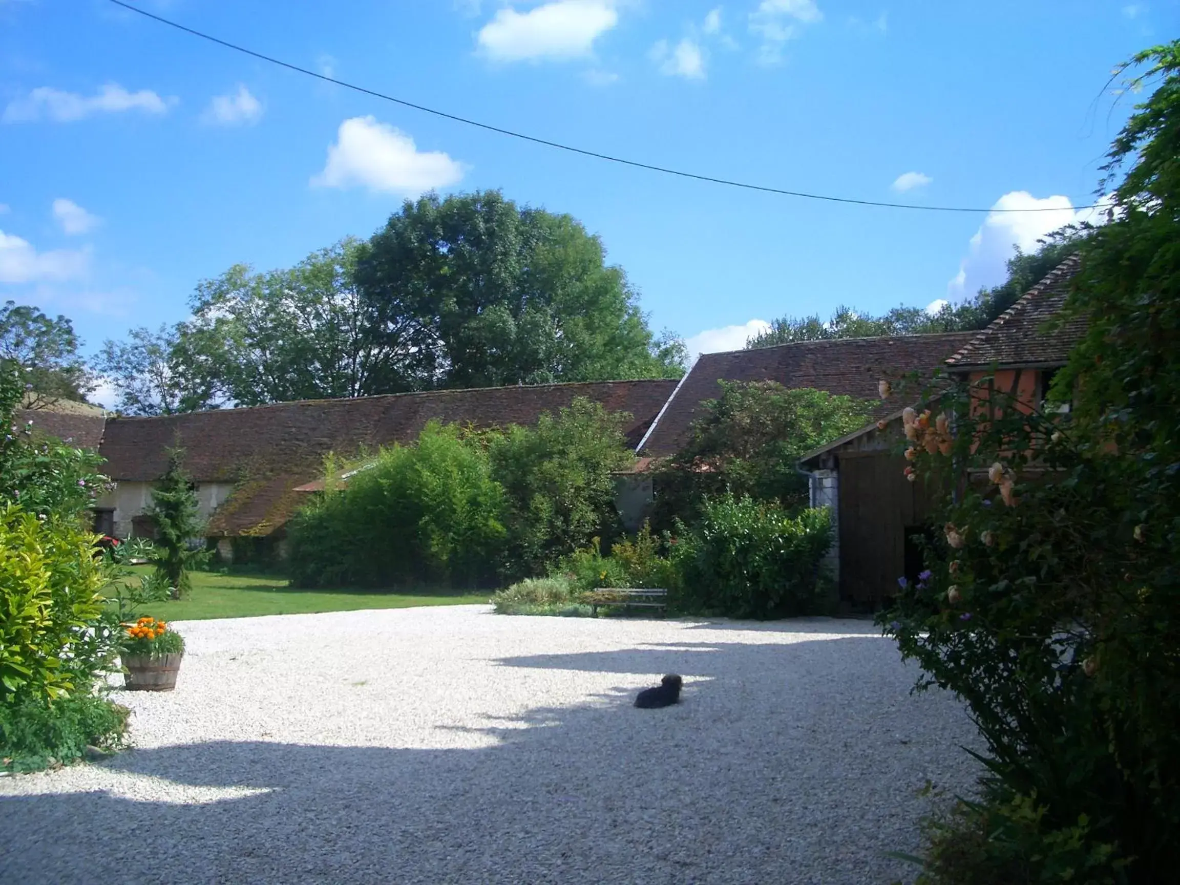 Garden in Chateau Des Roises