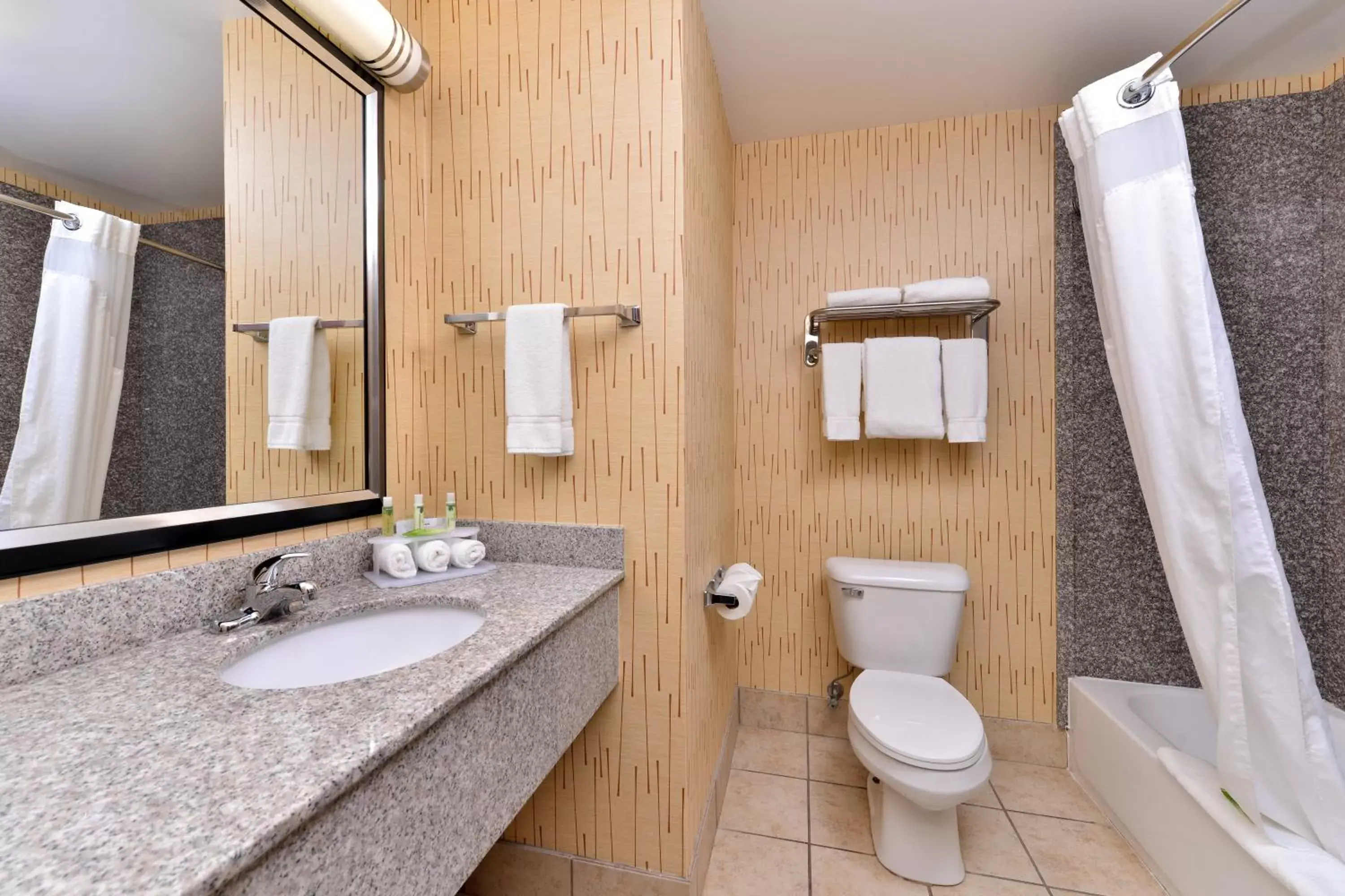 Photo of the whole room, Bathroom in Holiday Inn Express White House, an IHG Hotel