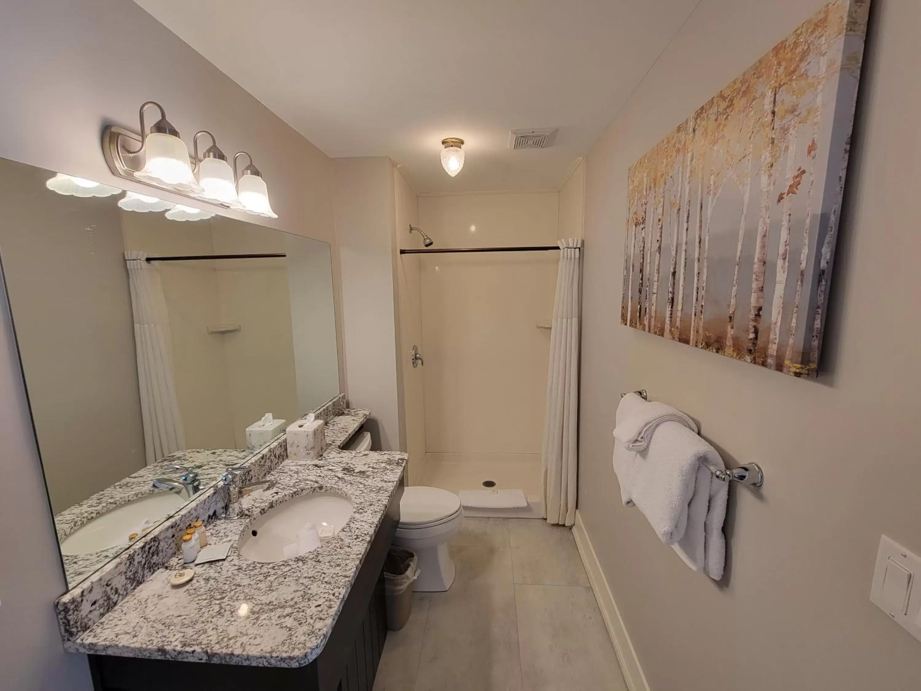 Shower, Bathroom in The Georgetown Inn