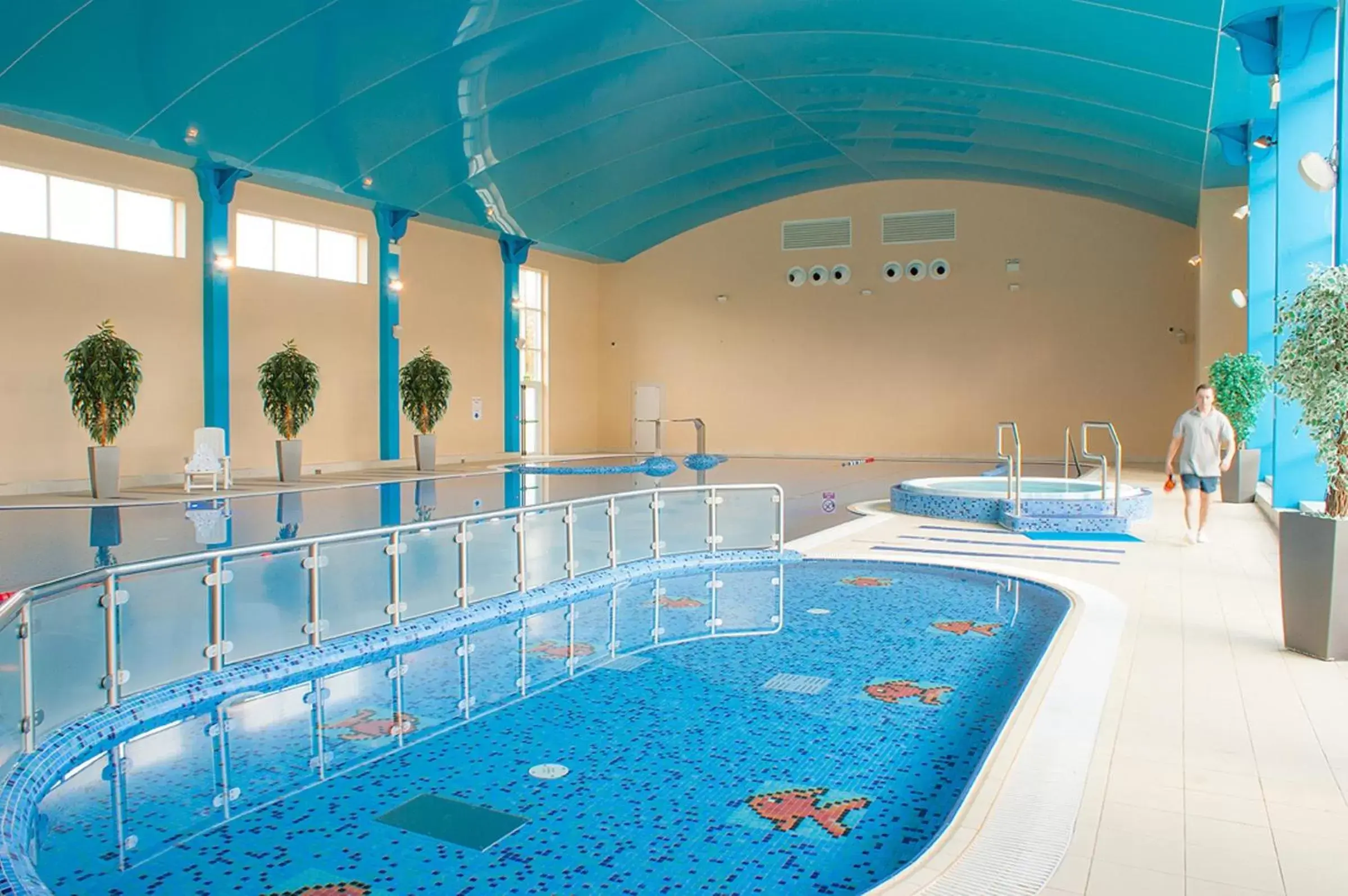 Spa and wellness centre/facilities, Swimming Pool in Charleville Park Hotel & Leisure Club IRELAND