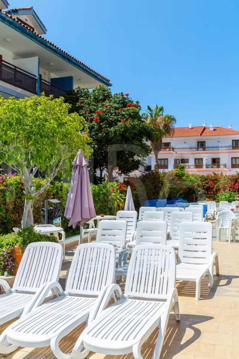 Swimming pool in Apartamentos Pez Azul Swimming pool in Apartamentos Pez Azul