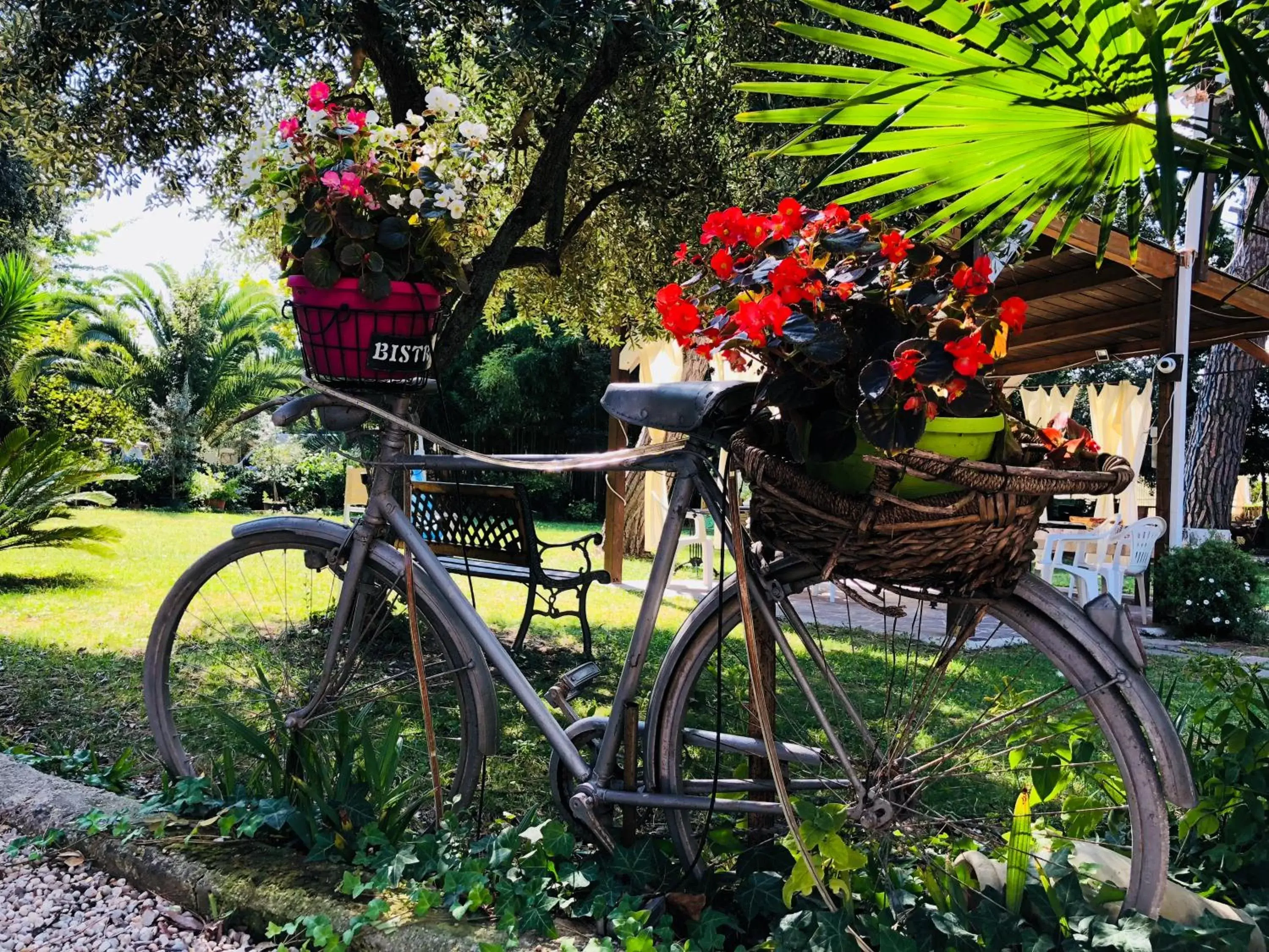 Garden in Villa Berghella