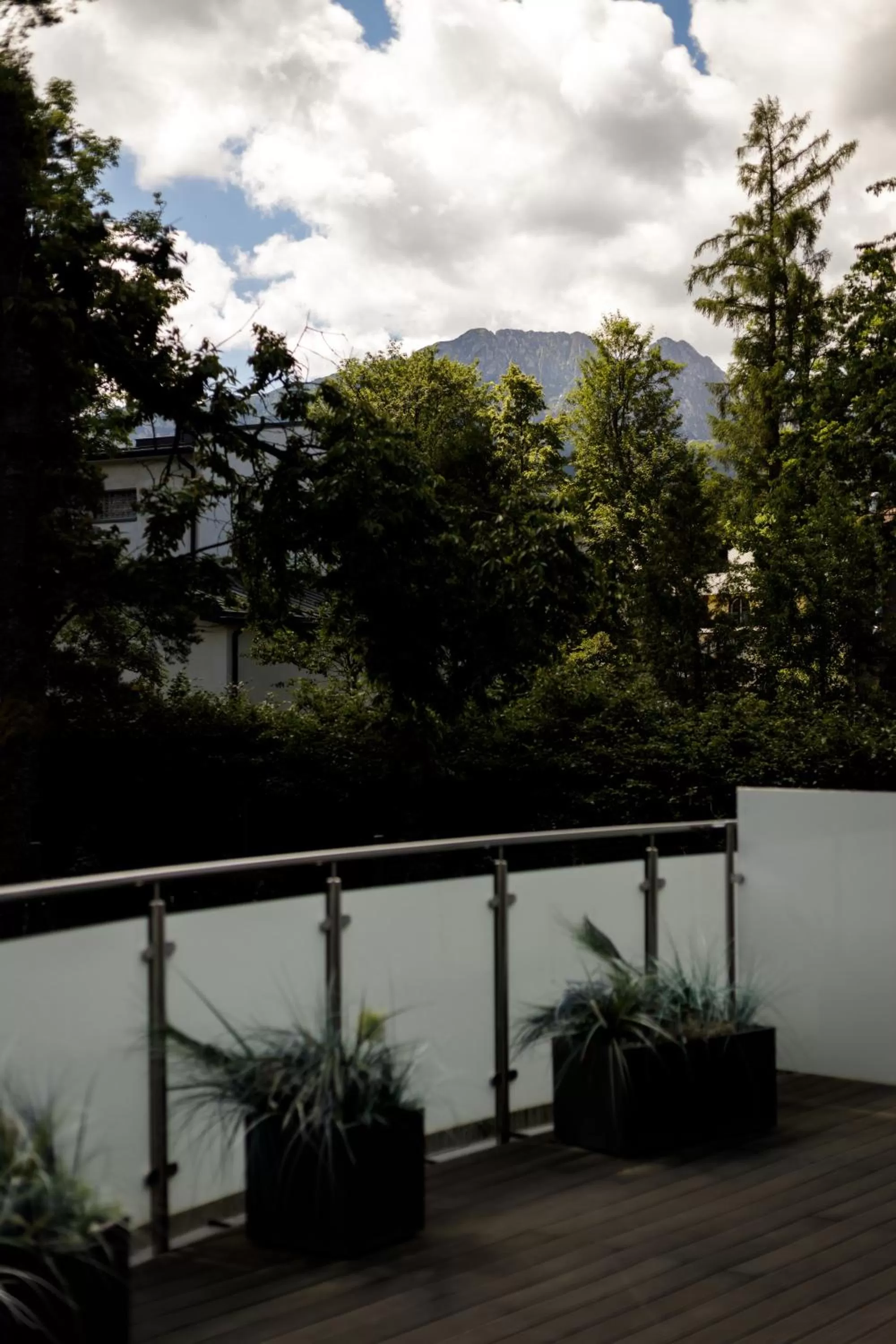 Natural landscape in Jagiellońska Residence