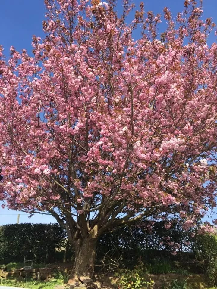 Jacquie's B&B -Dumfries-Room with a view - hot tub