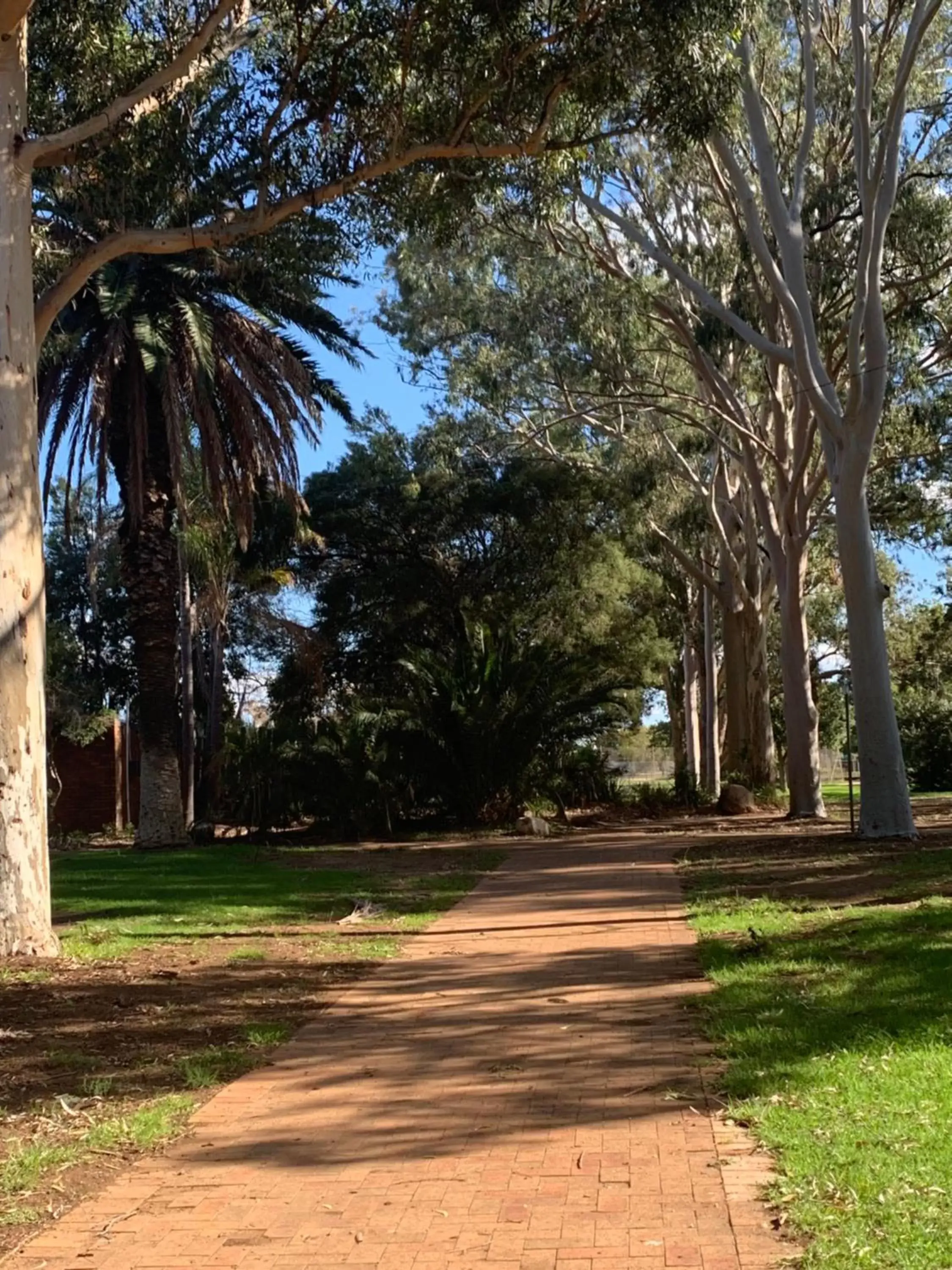 Nearby landmark, Garden in Gilgandra Motel