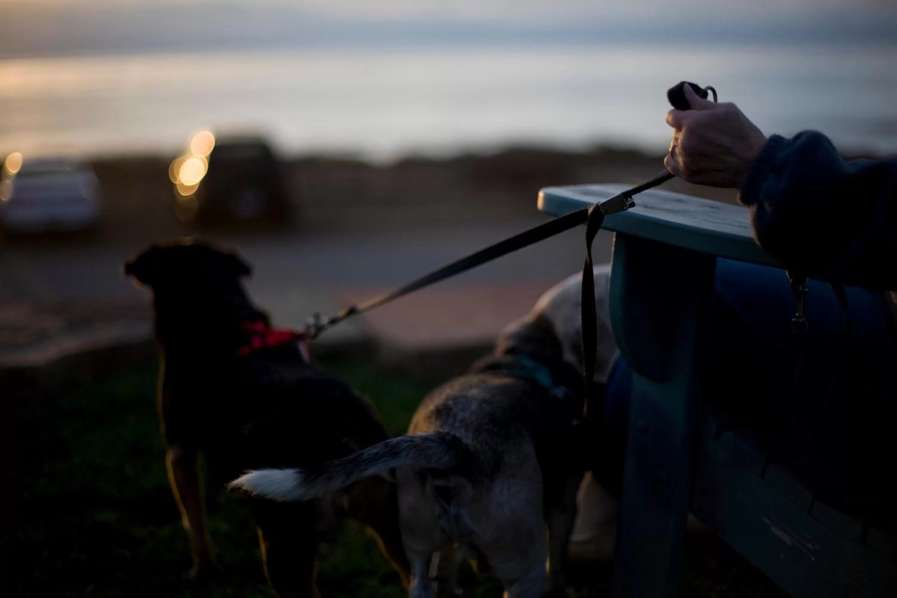 People in Cambria Shores Inn