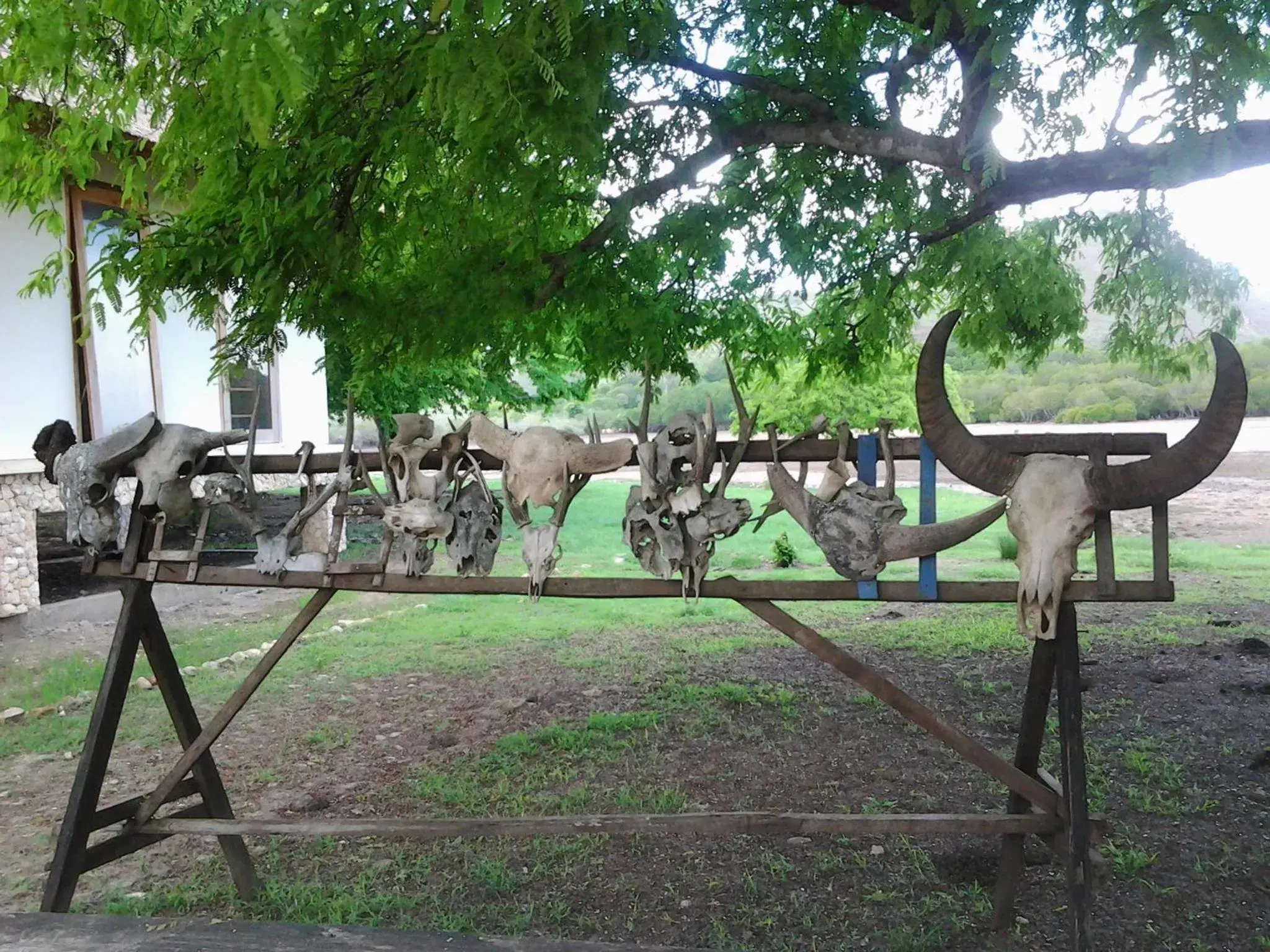 Garden in L Bajo Hotel