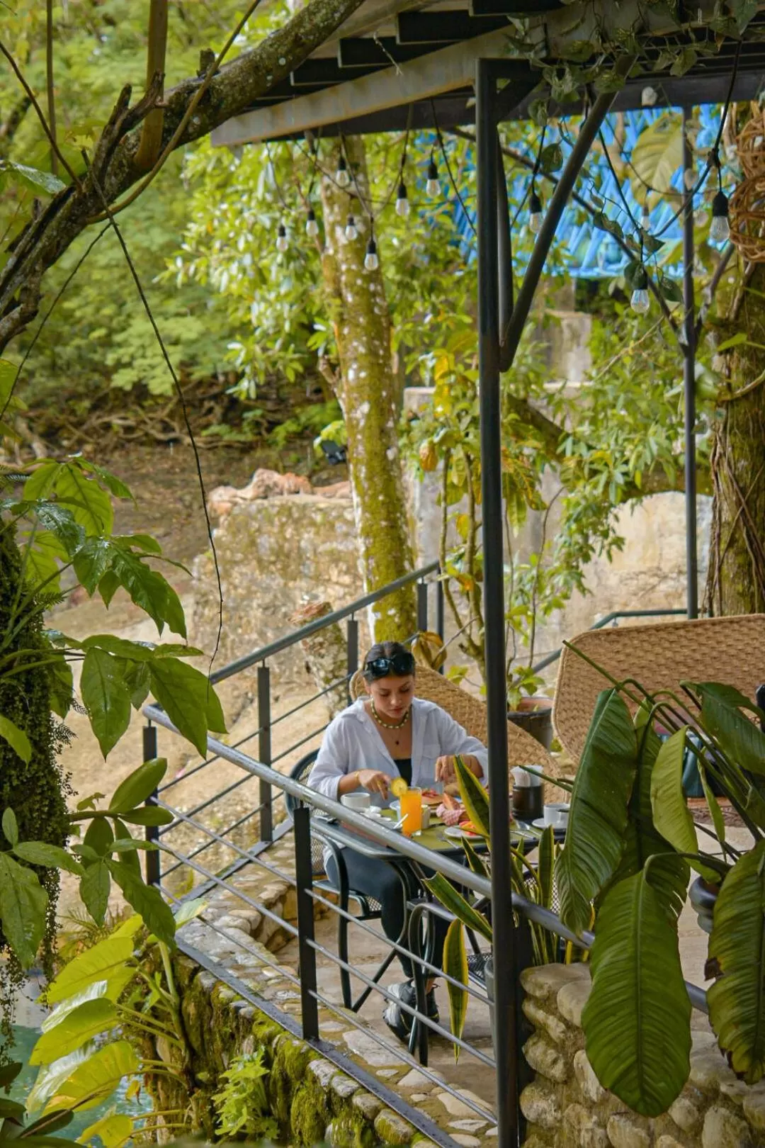 Restaurant/places to eat in Hotel Nututun Palenque