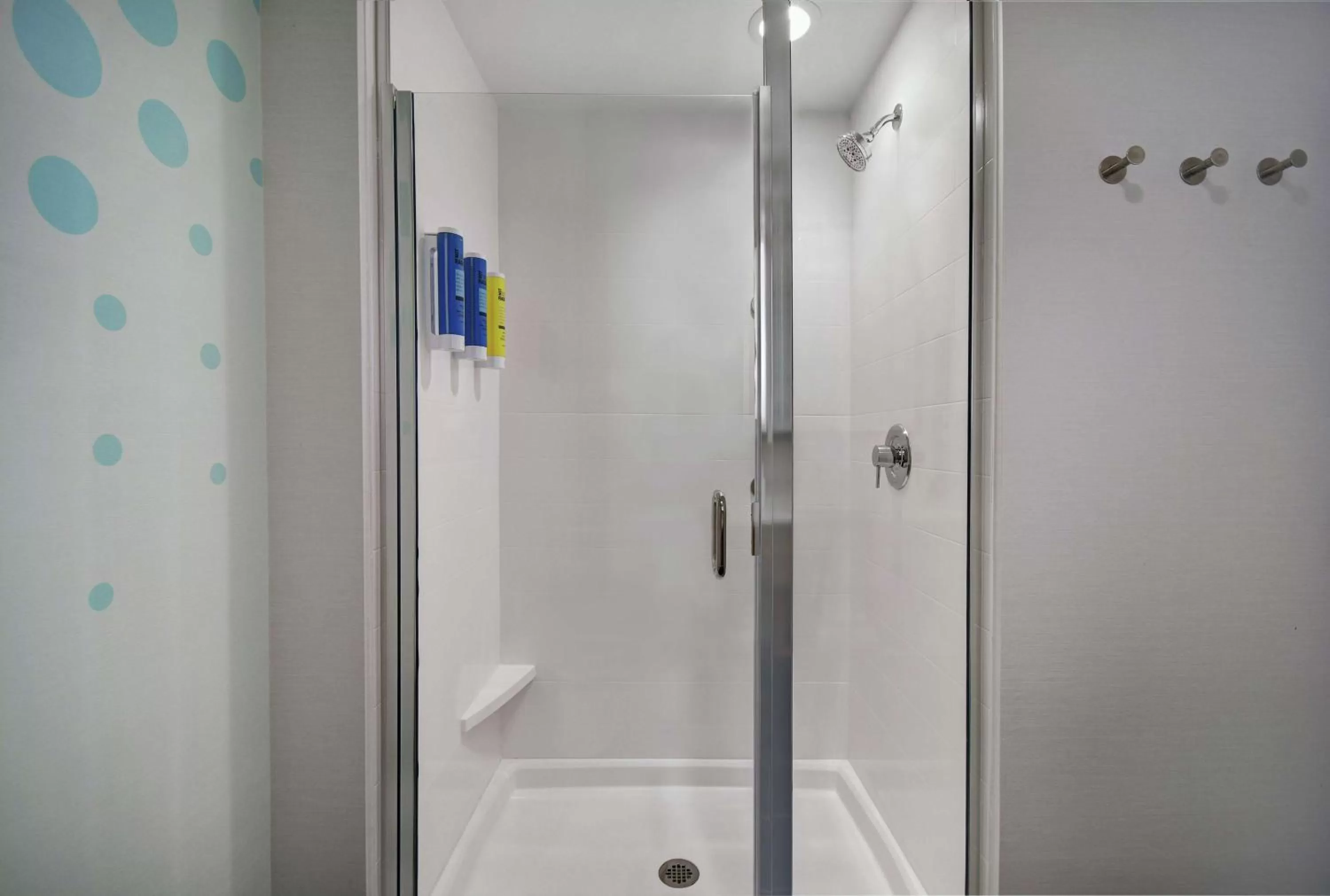 Shower in Tru By Hilton Burlington