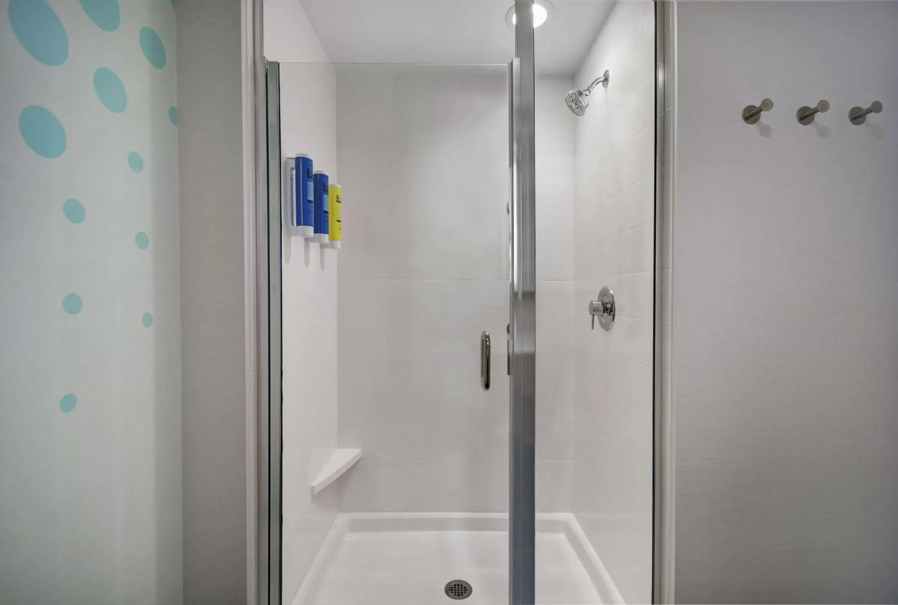 Shower, Bathroom in Tru By Hilton Burlington
