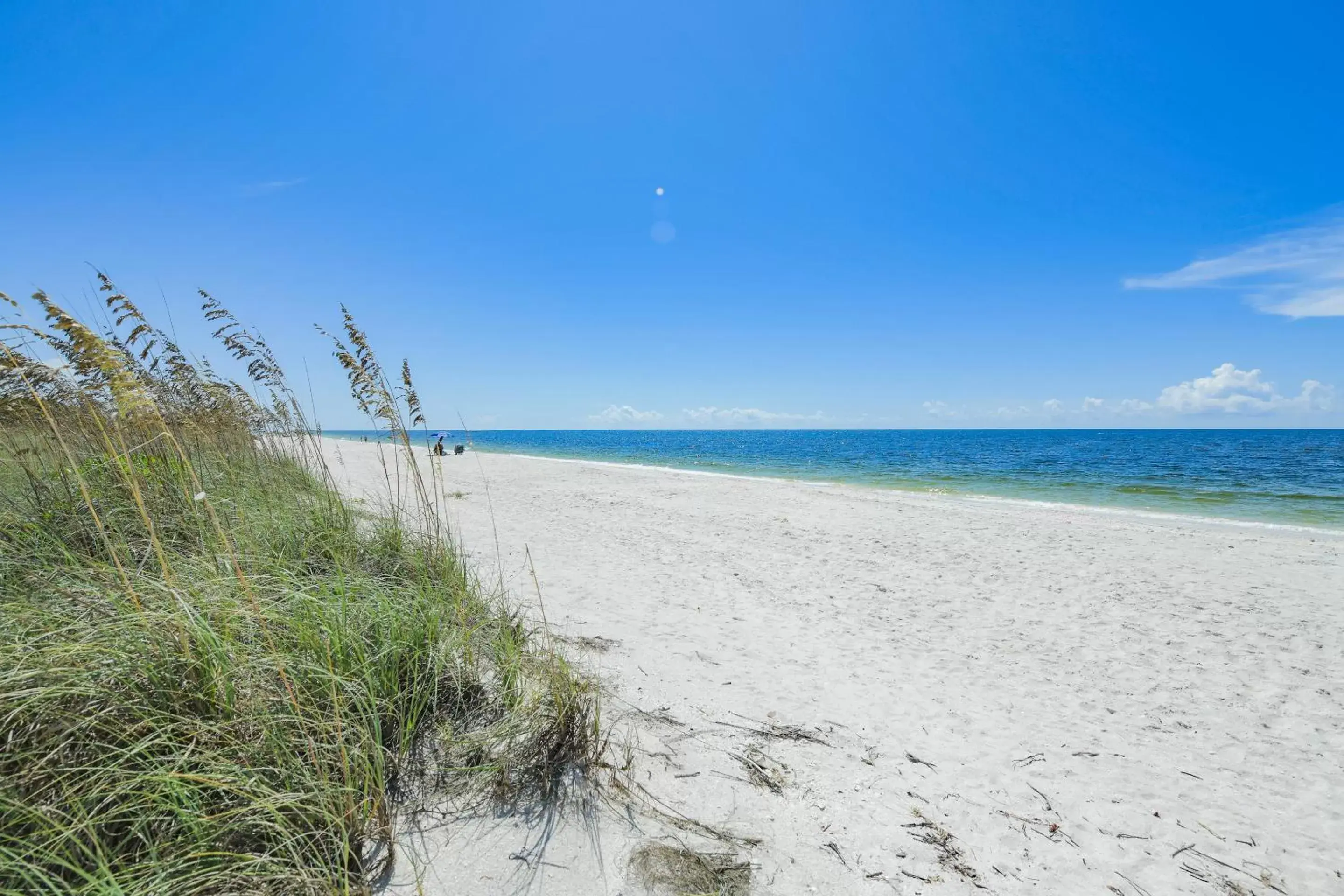 Beach in Casey Key Resorts - Beachfront