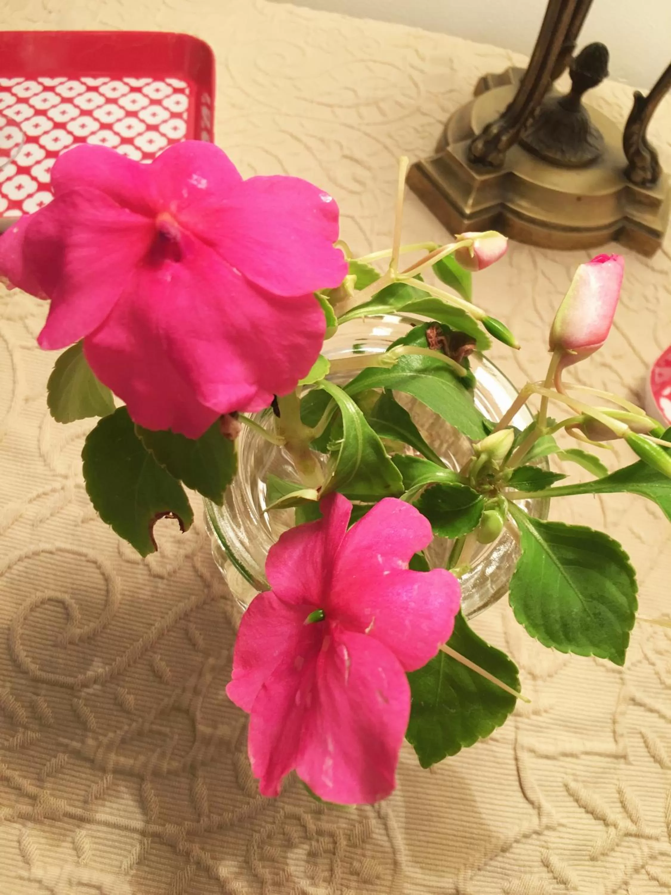 Decorative detail in La Romance et la Romanesque