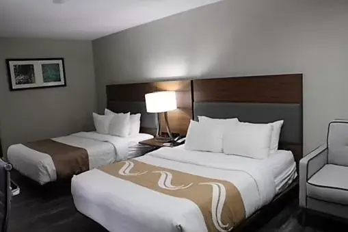 Bed in Quality Inn & Suites Near White Sands National Park