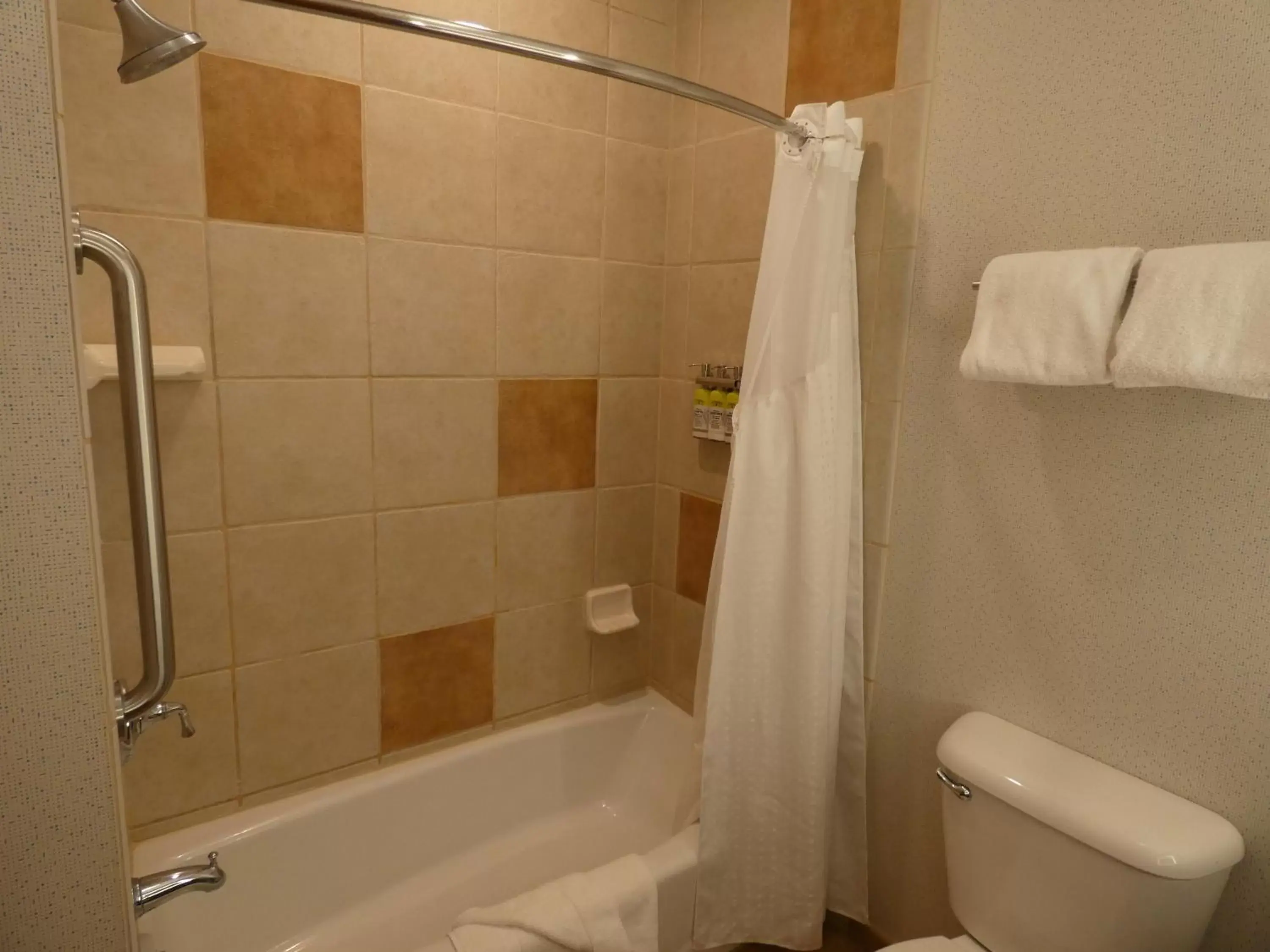 Bathroom in Holiday Inn Express Hotel & Suites Limon I-70/Exit 359, an IHG Hotel