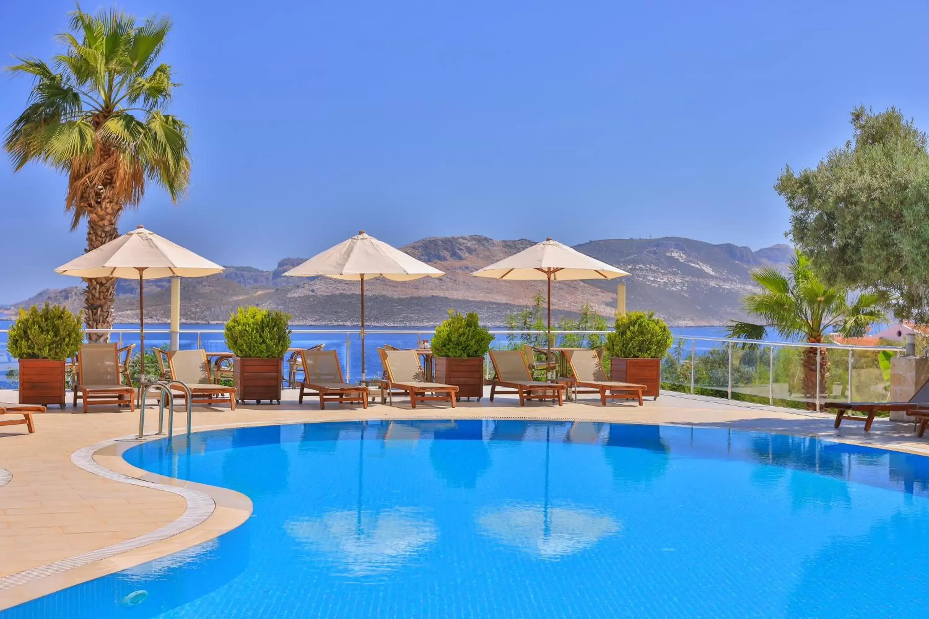 Pool view, Swimming Pool in Olea Nova Hotel