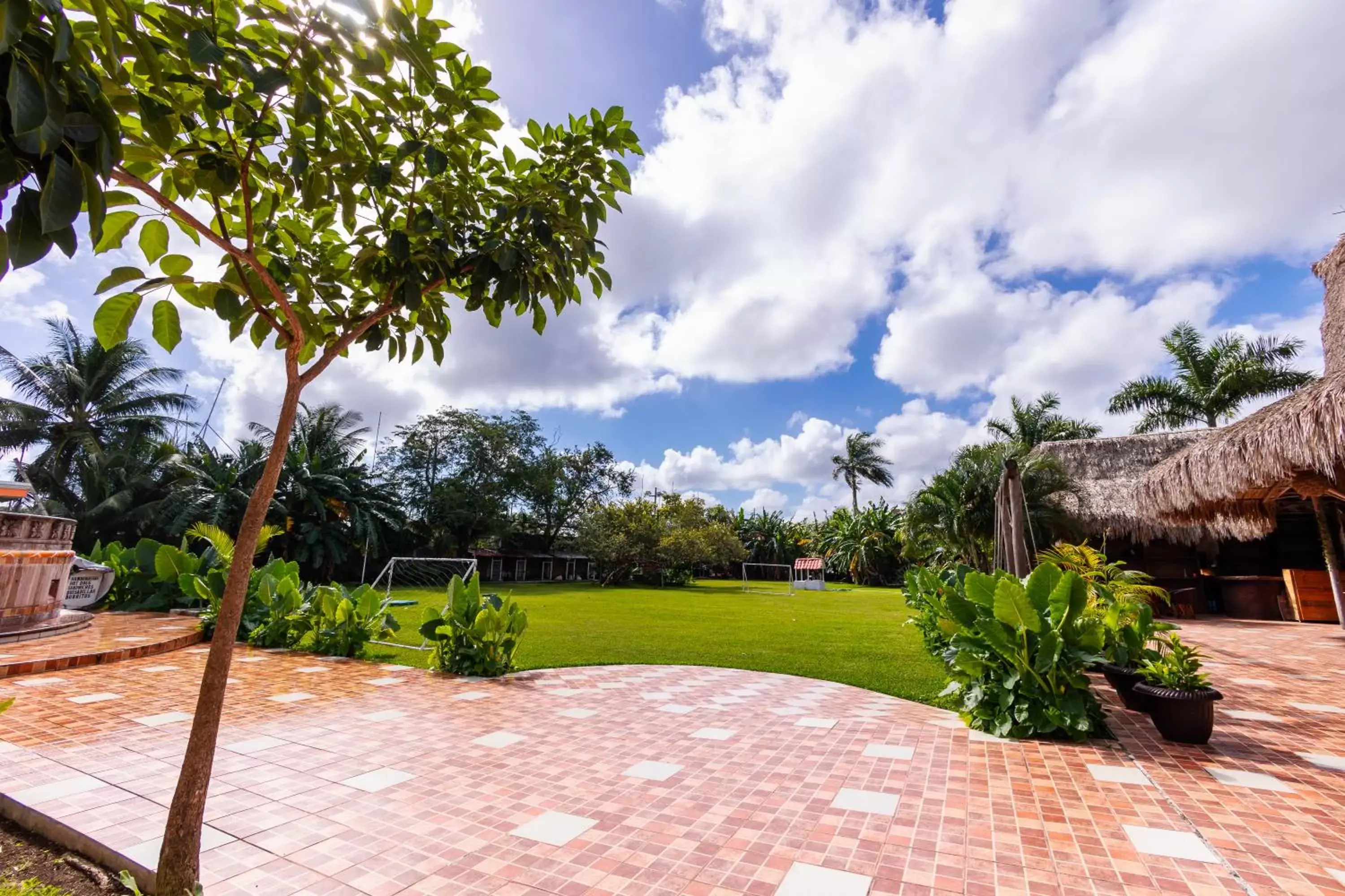 Garden view in Hotel Bello Caribe Express