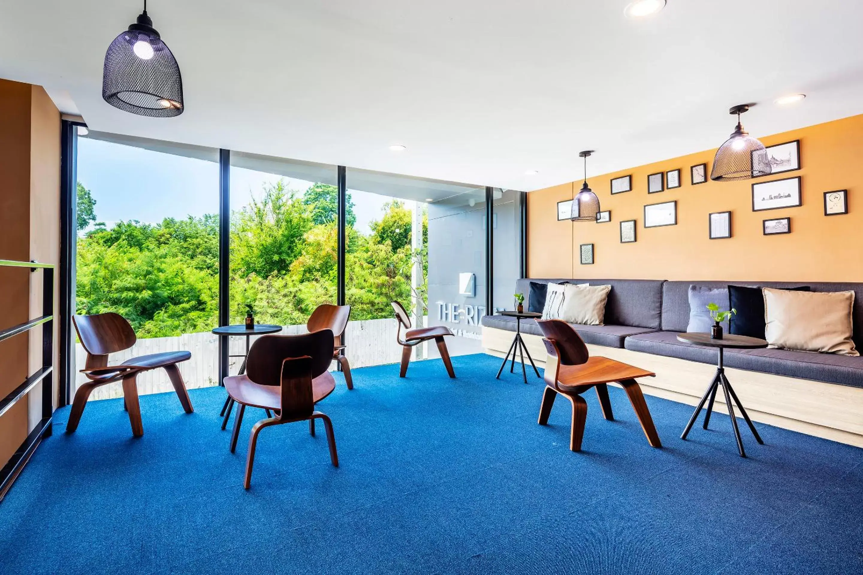 Lounge or bar in The Rizin Lounge or bar in The Rizin