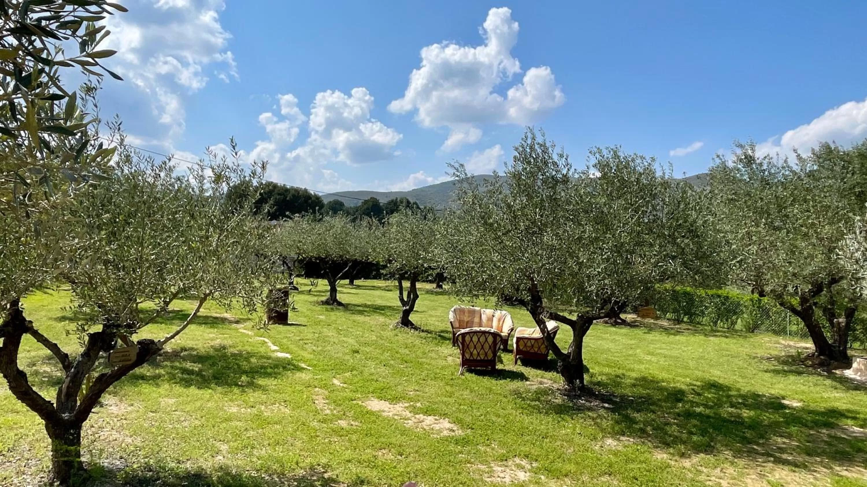 Balcony/Terrace in Finca La Higuera - Boutique B&B