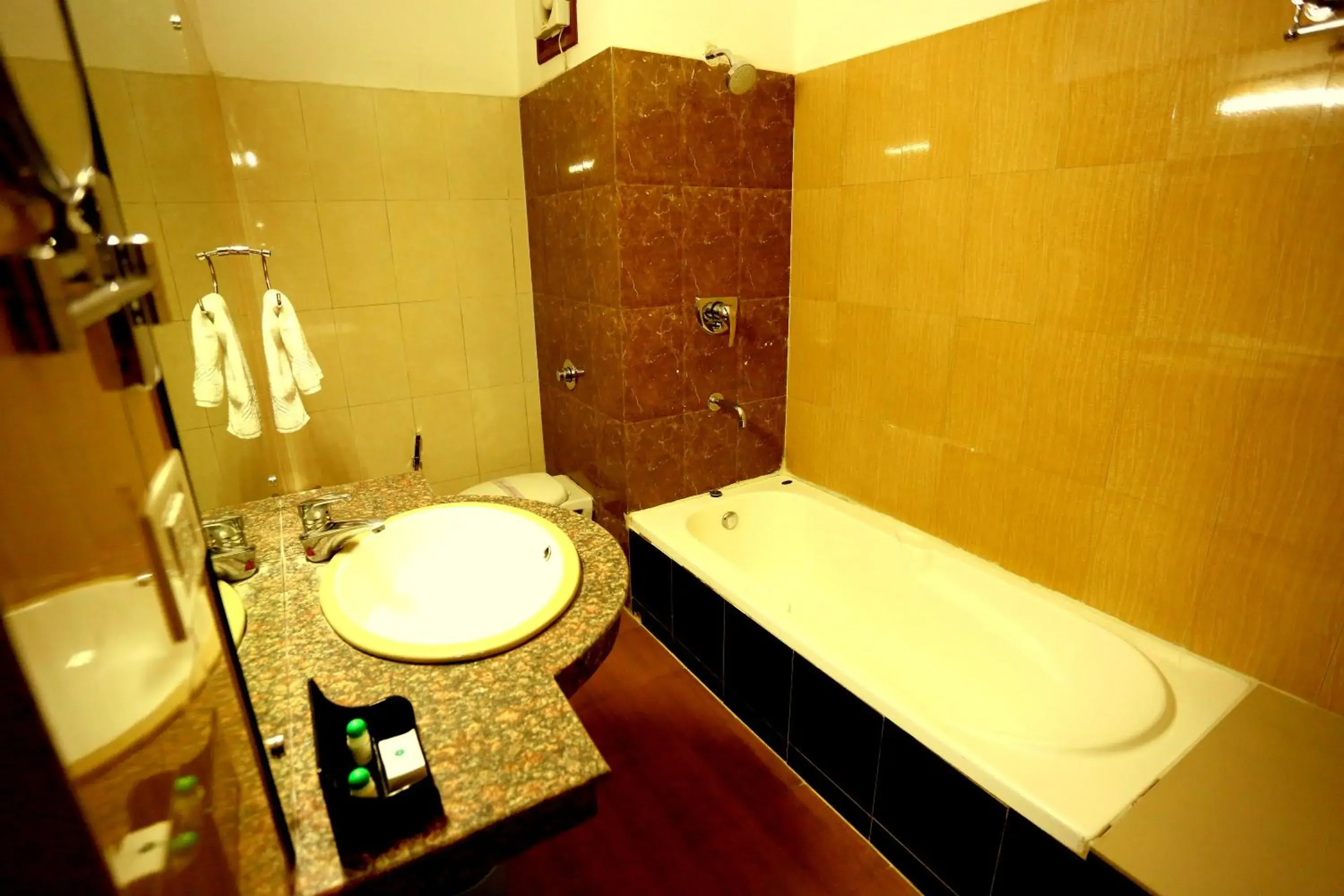 Shower, Bathroom in Hotel Shree Hari Niwas