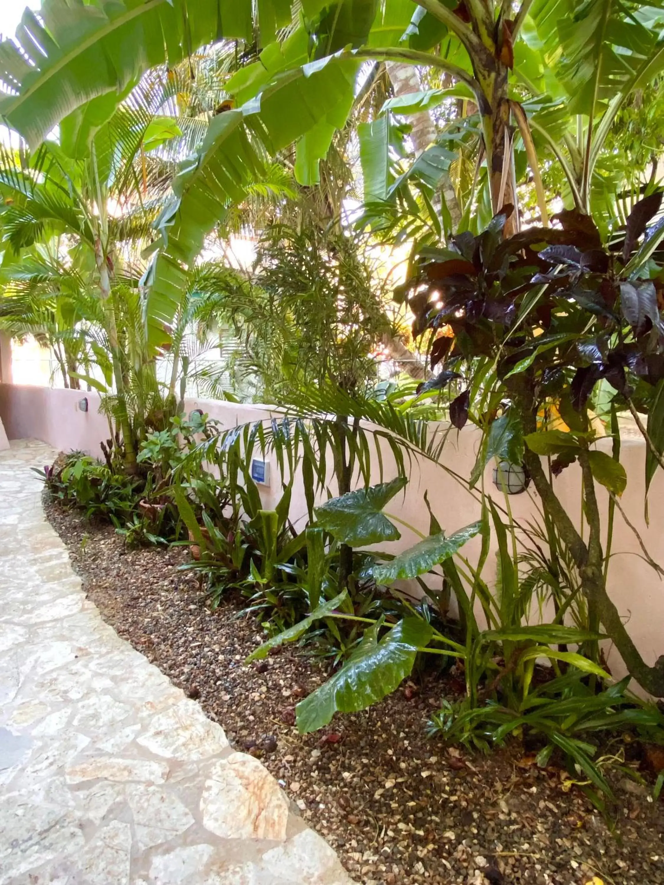 Garden in Hotel Alegria