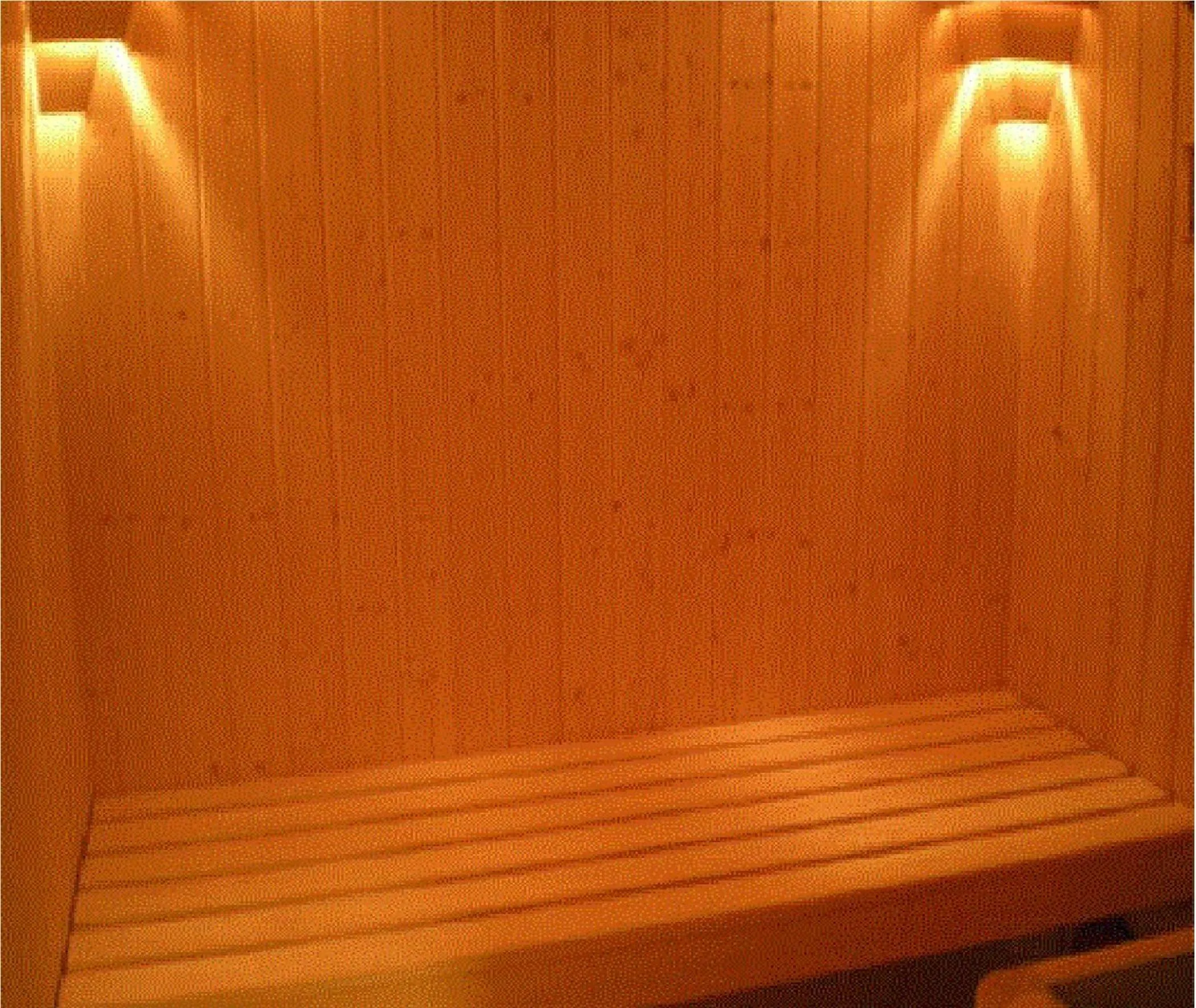 Sauna in Niigata Park Hotel