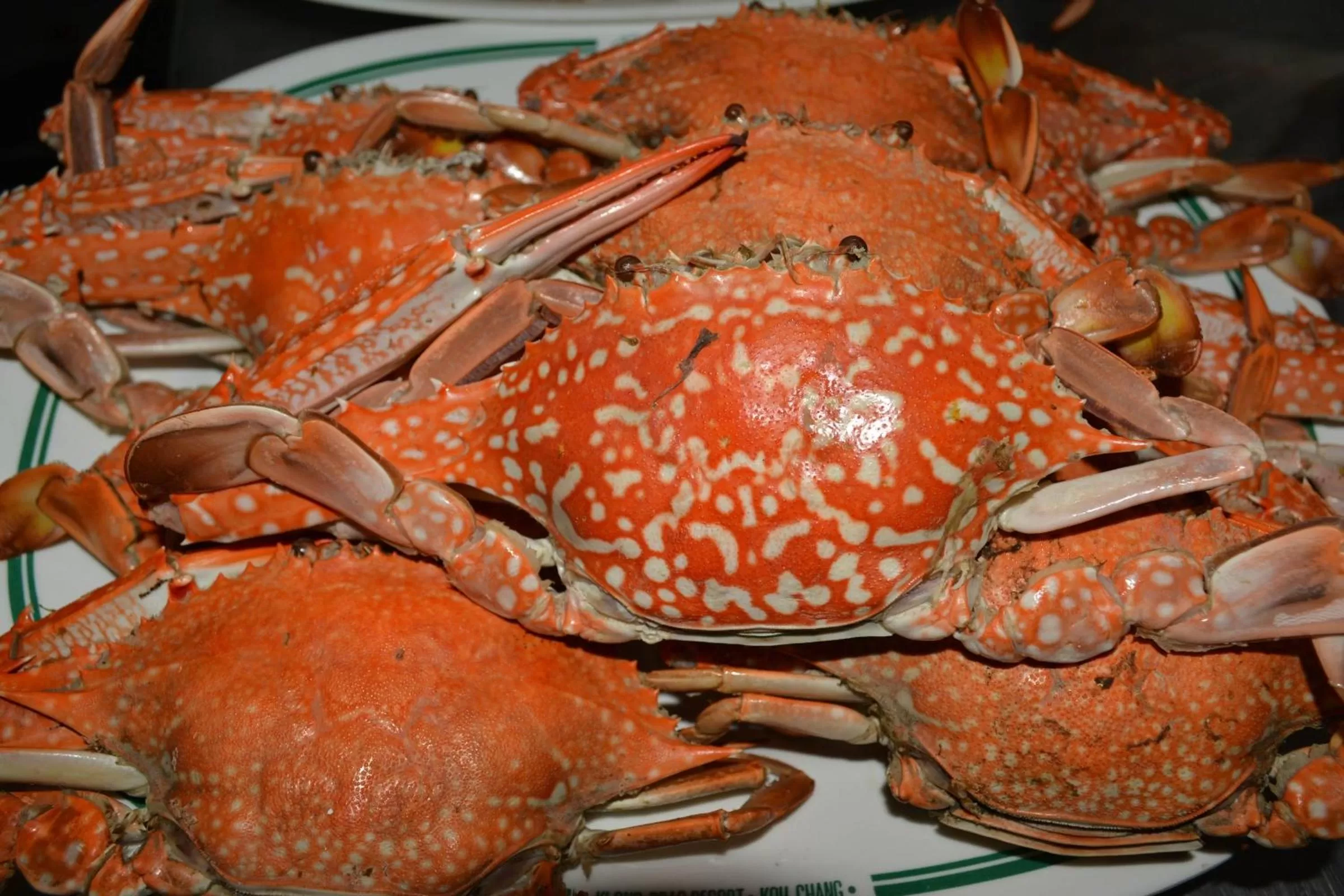 Food in Klong Prao Resort