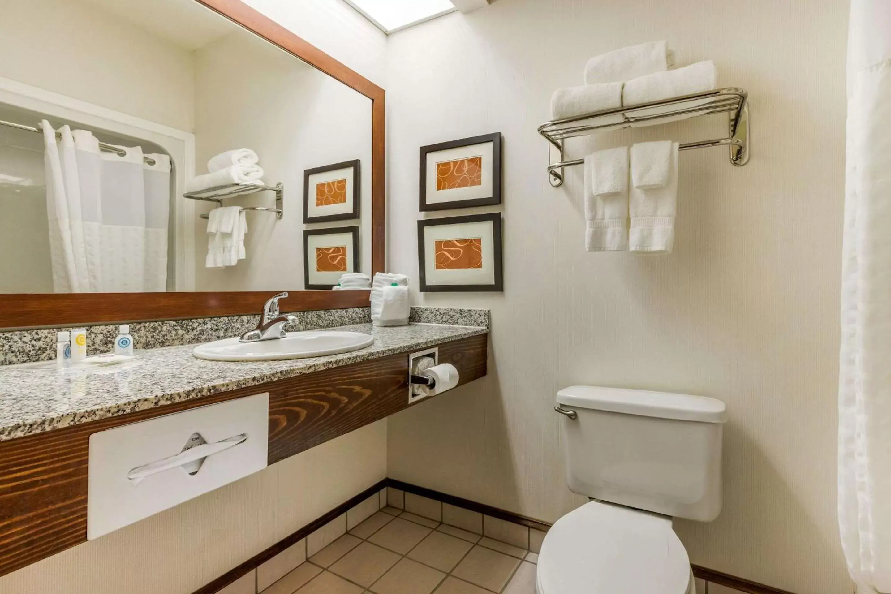 Photo of the whole room, Bathroom in Comfort Inn Summerville - Charleston