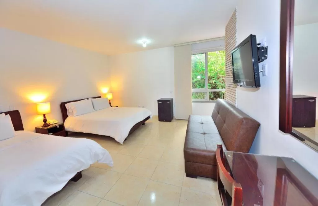 Standard Double or Twin Room in Hotel Palonegro