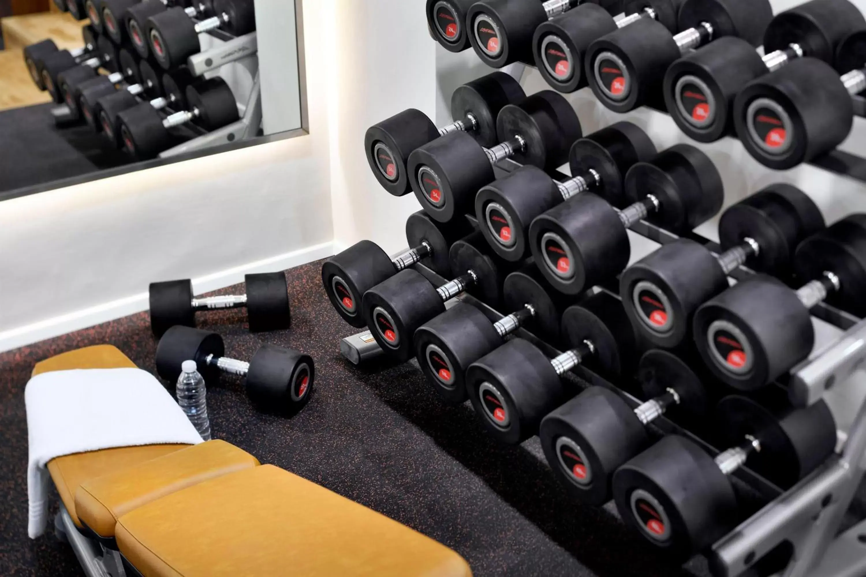 Fitness centre/facilities, Fitness Center/Facilities in Amman Marriott Hotel