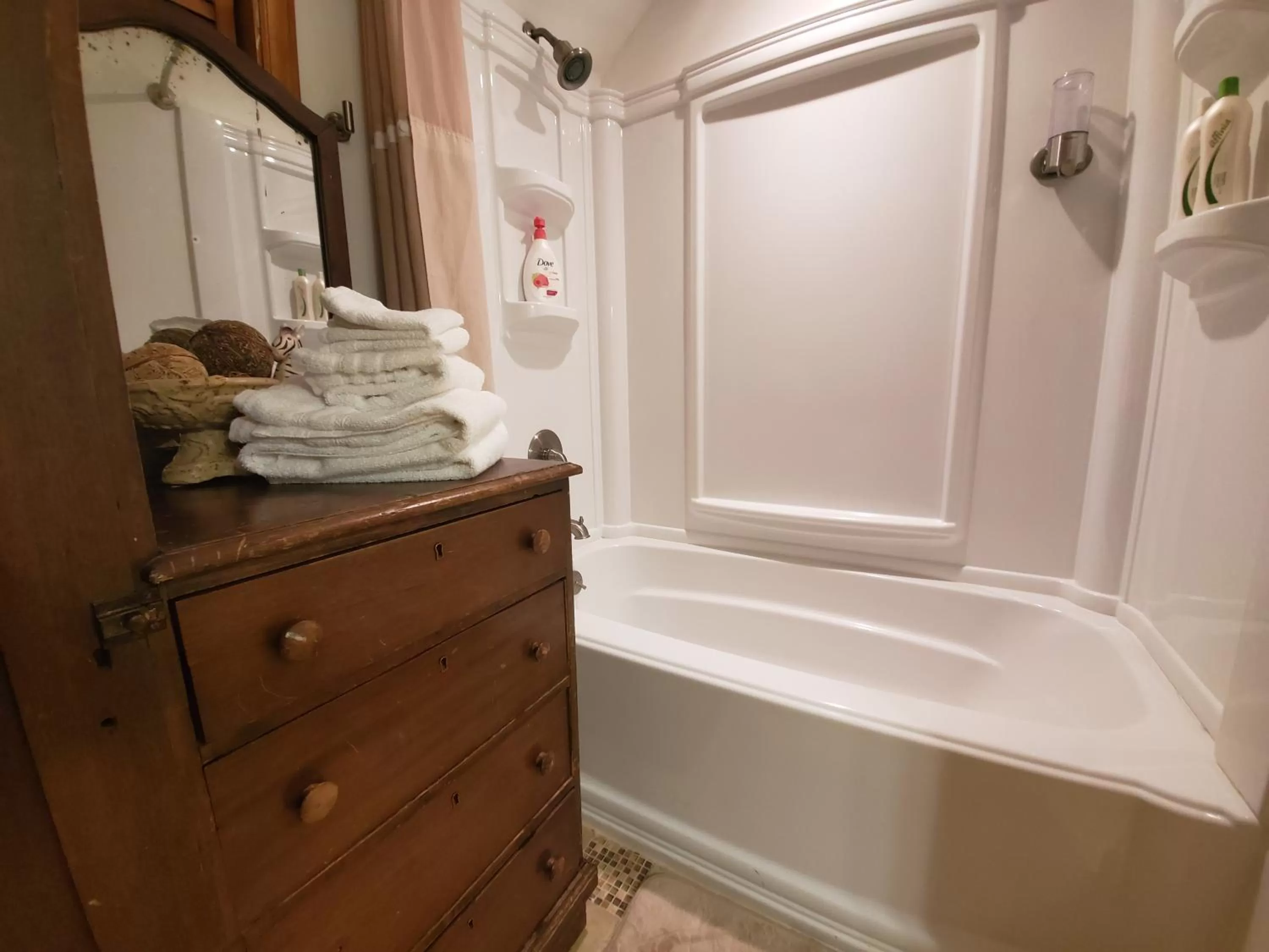 Blue Ridge Manor Bed and Breakfast