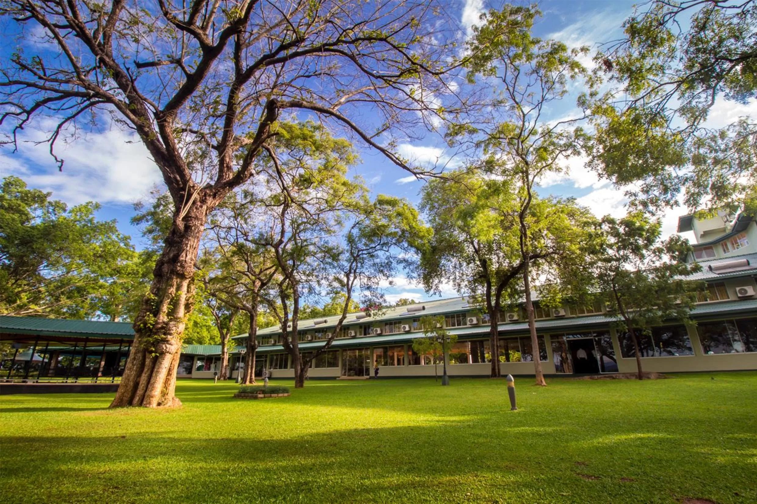 Garden in Hotel Sudu Araliya