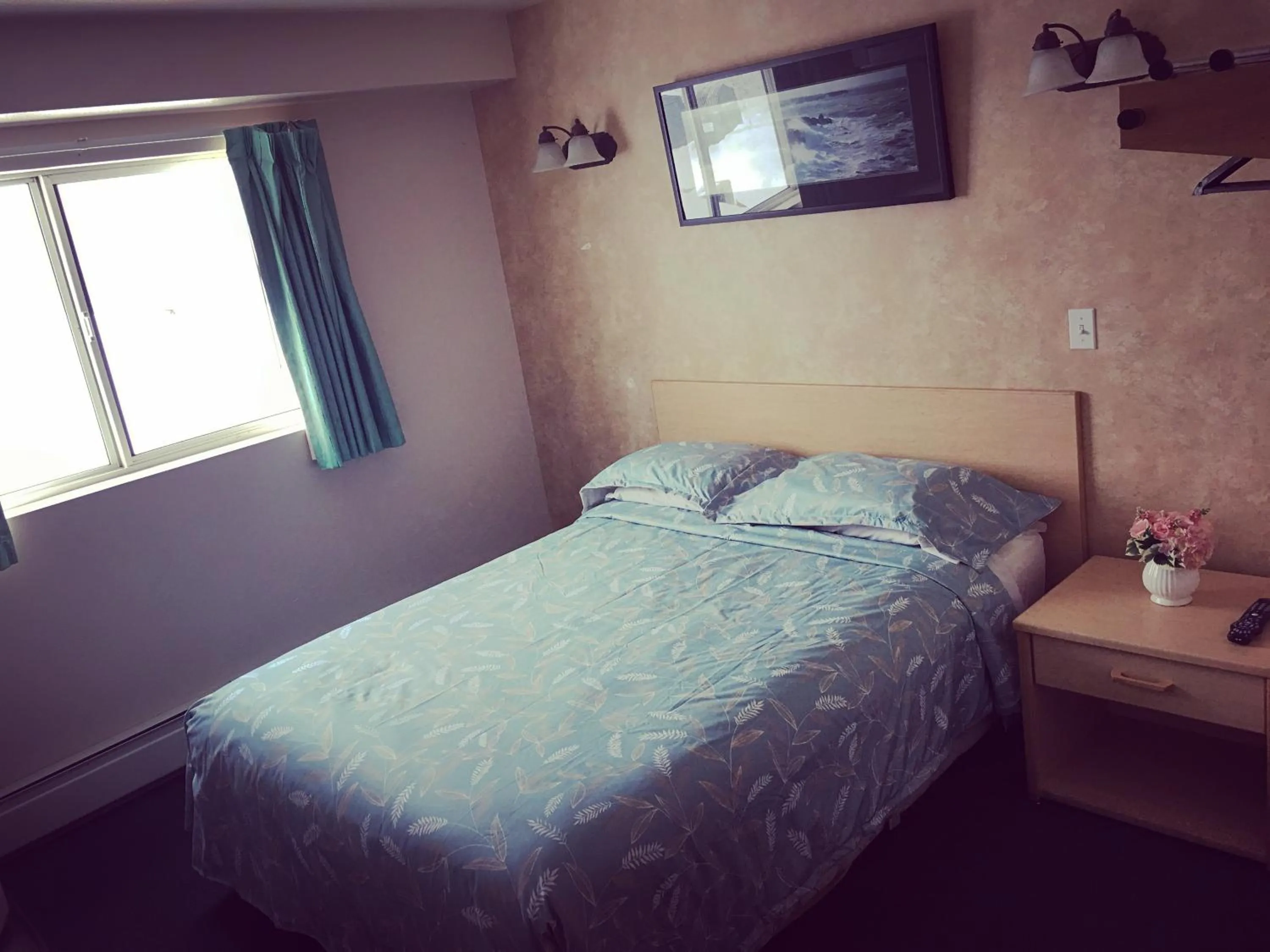 Bed in Windbreak Cafe