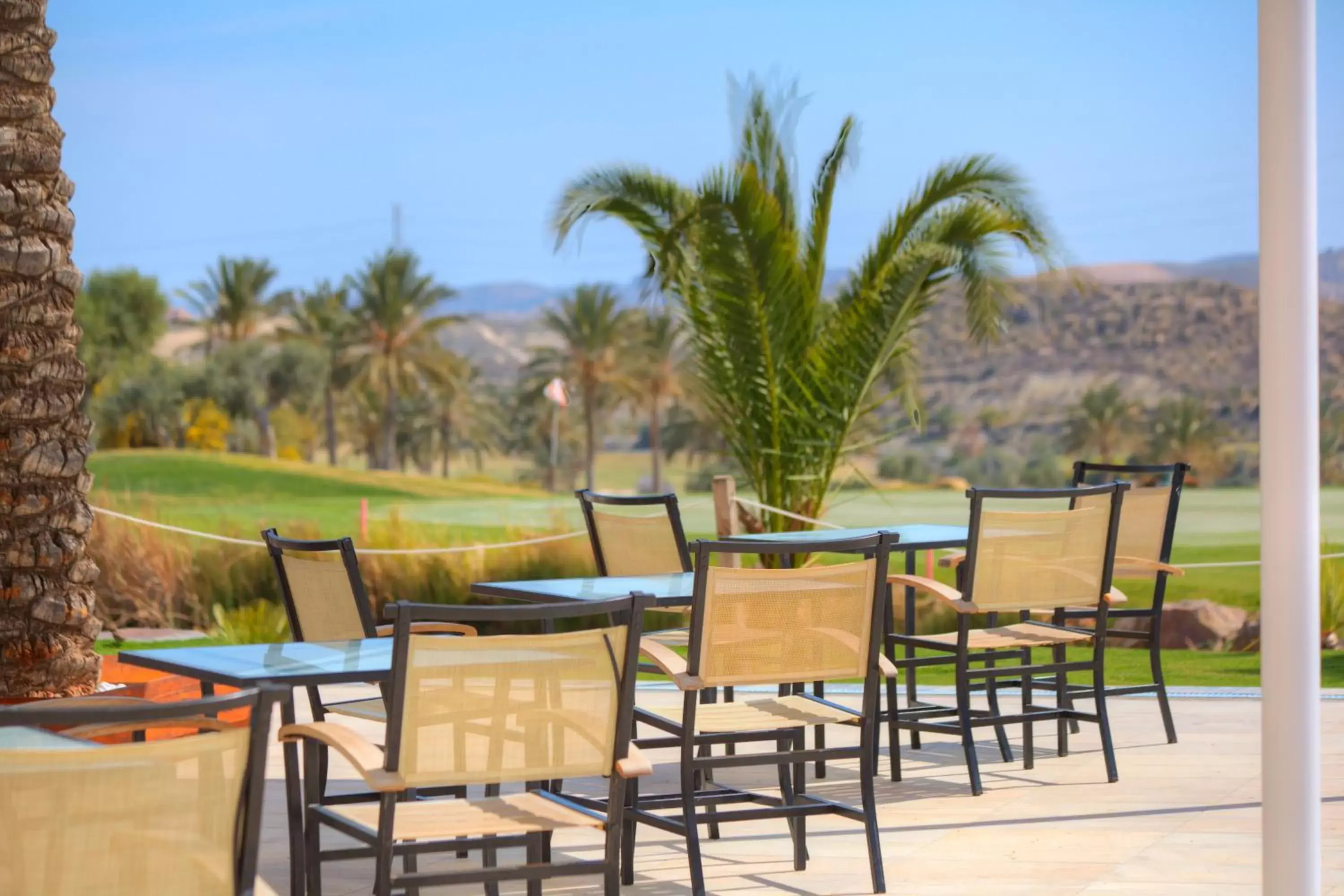 Balcony/Terrace in Valle Del Este Golf Resort