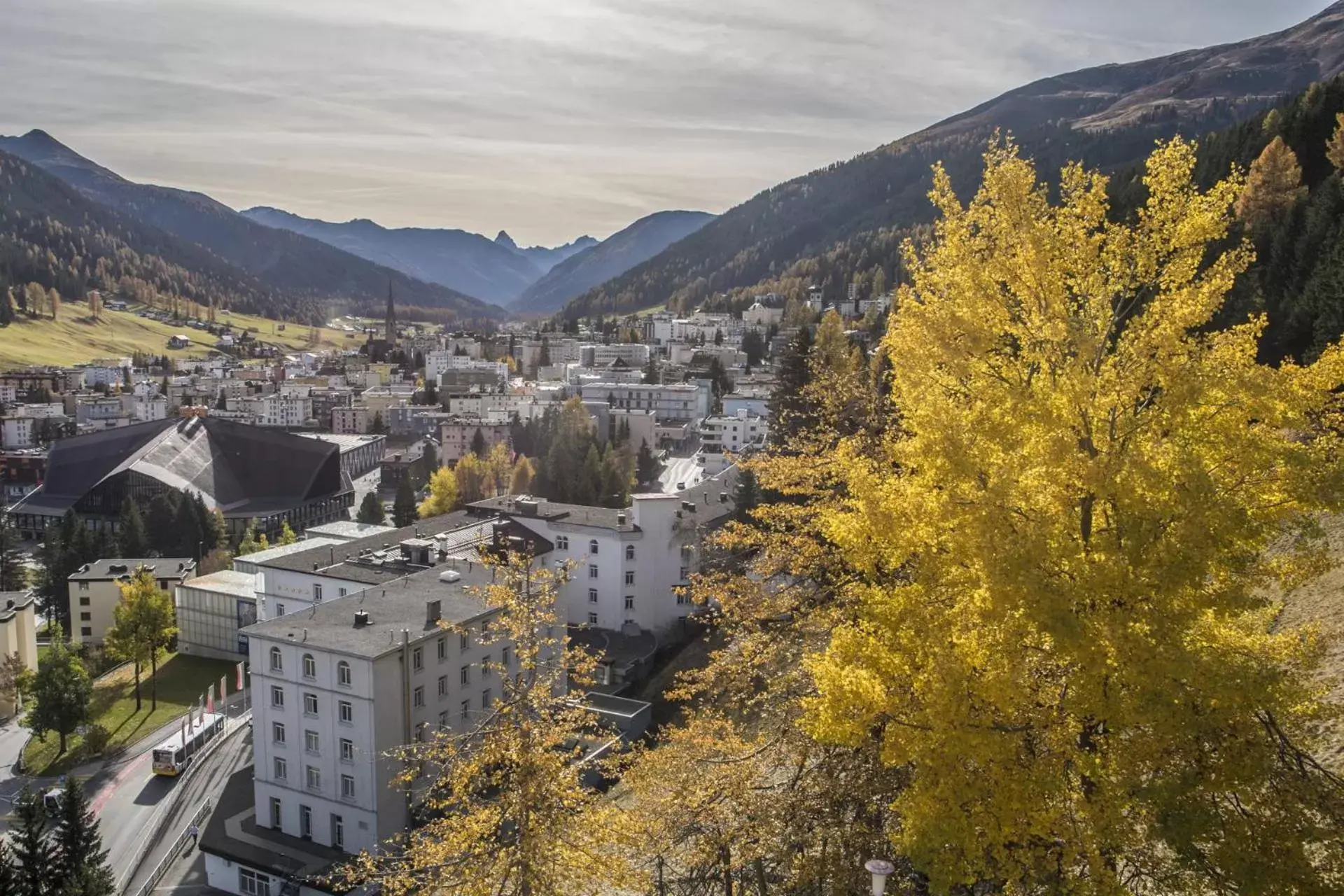 View (from property/room) in Waldhotel & SPA Davos - for body & soul