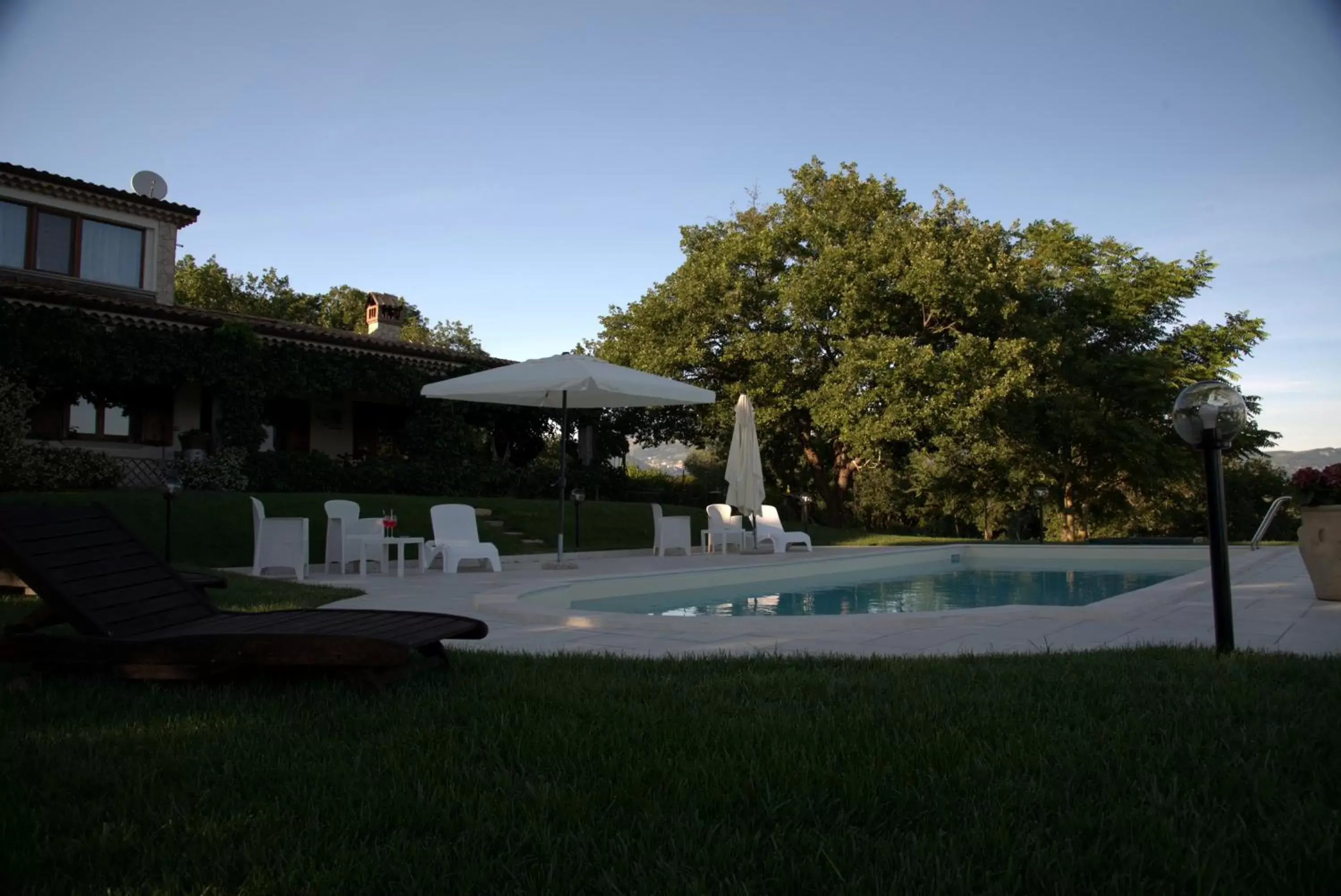 Swimming Pool in The Forest House