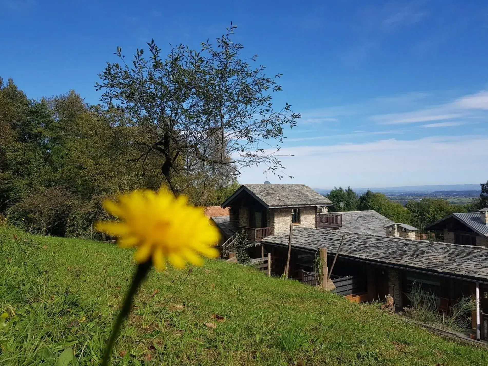 Property Building in AGRITURISMO IL SOGNO DELLA VITA RESORT