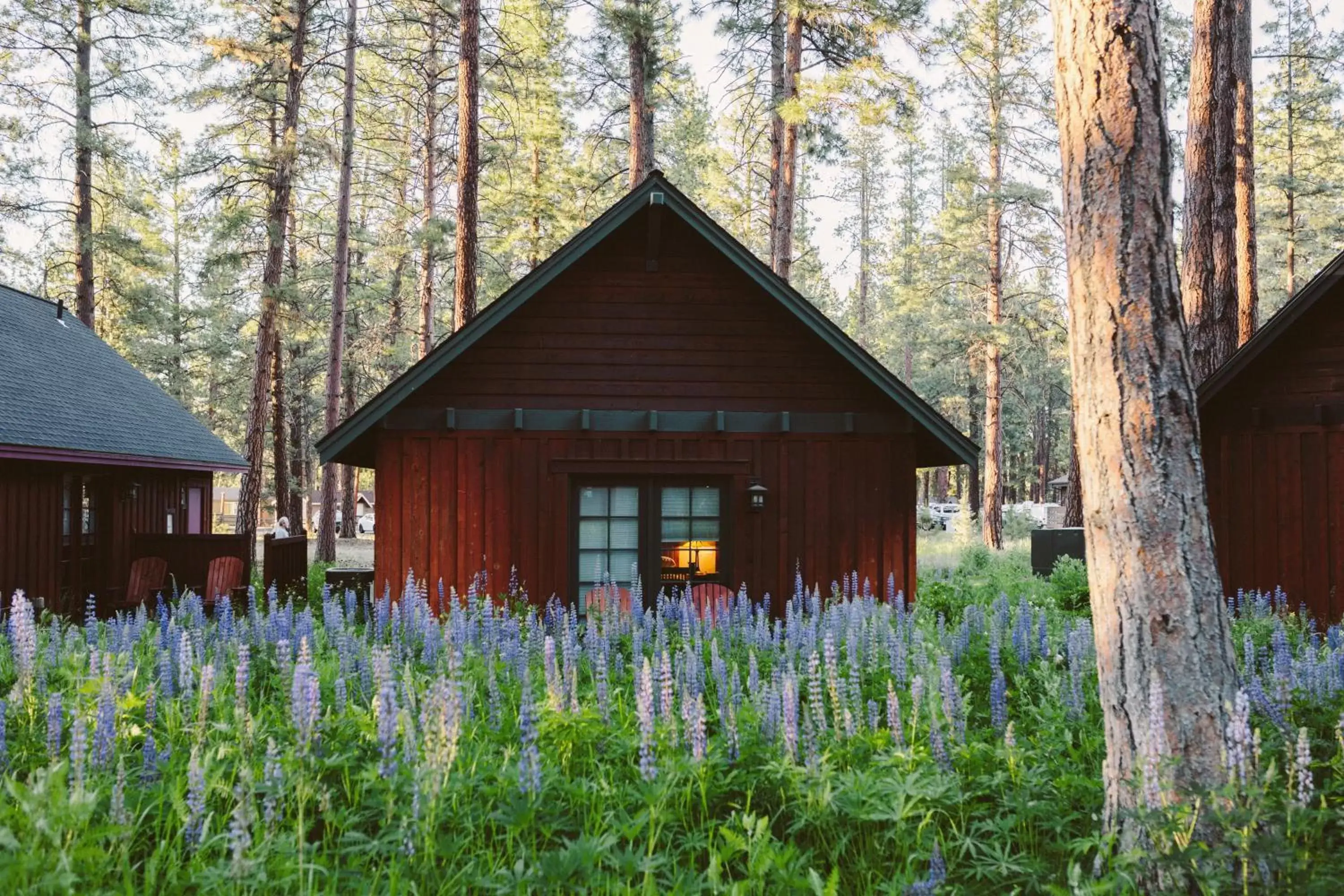 View (from property/room), Property Building in FivePine Lodge