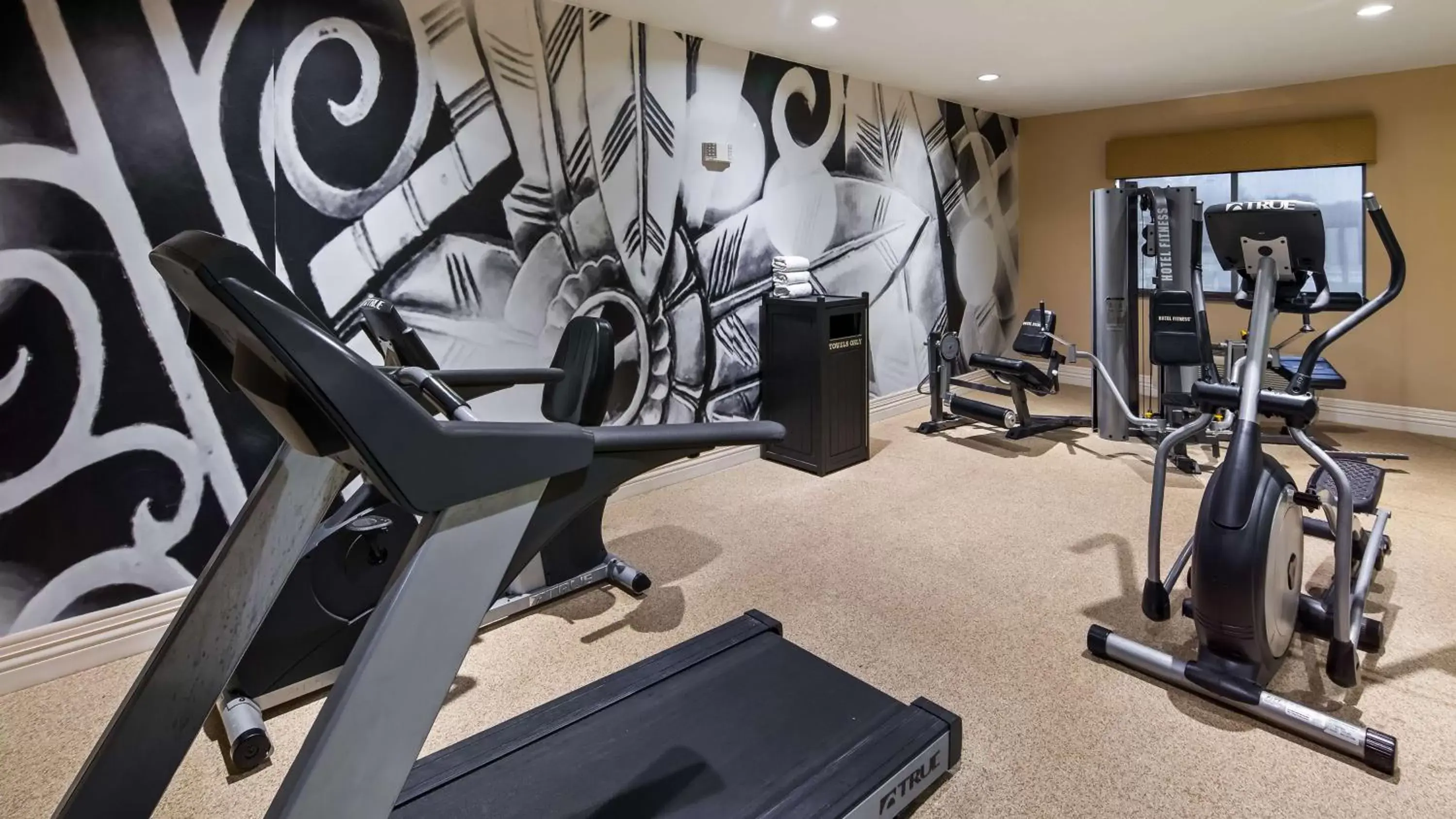 Fitness centre/facilities, Fitness Center/Facilities in Best Western Plus Burleson Inn & Suites