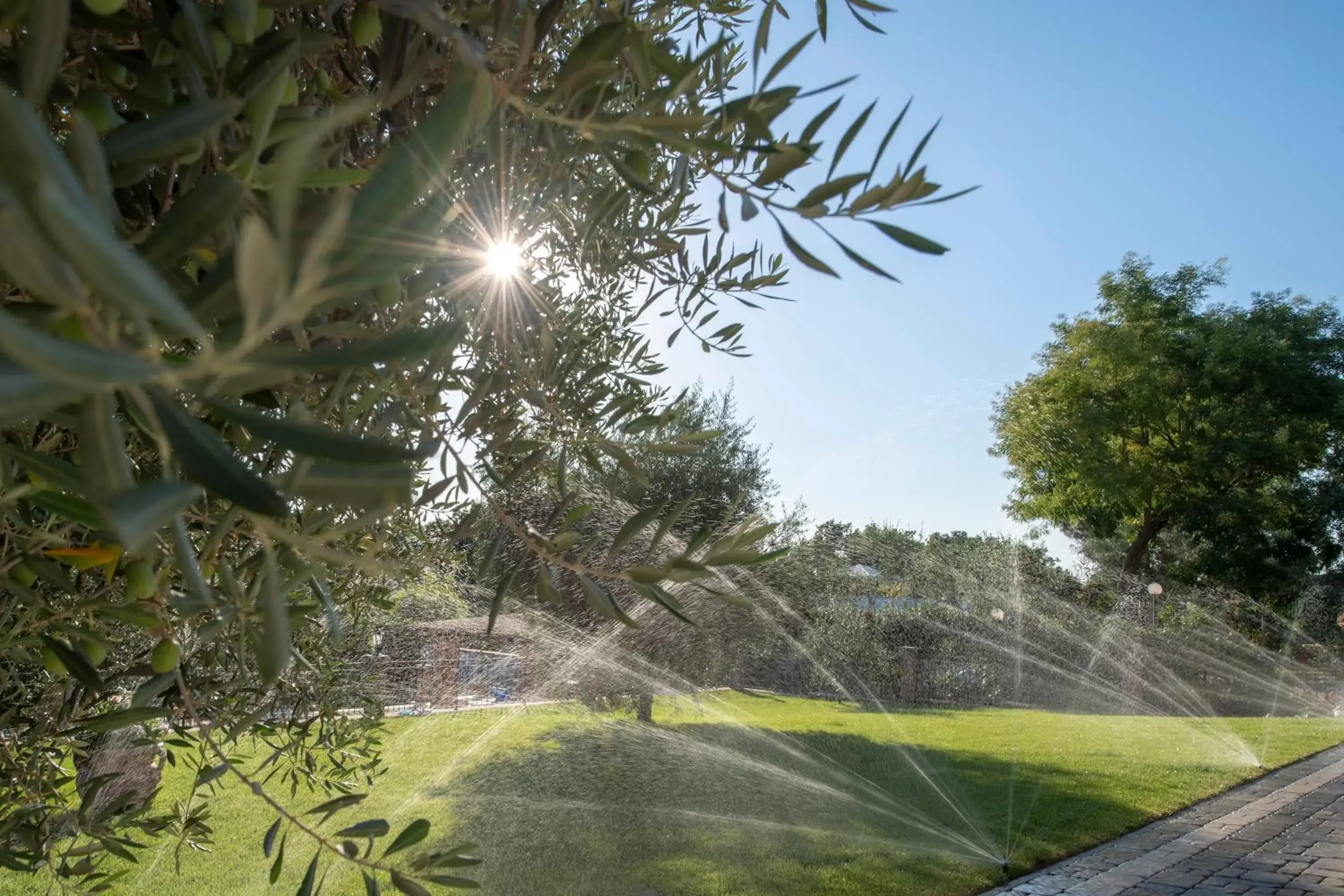 Garden view in B&B Roman Country Villa