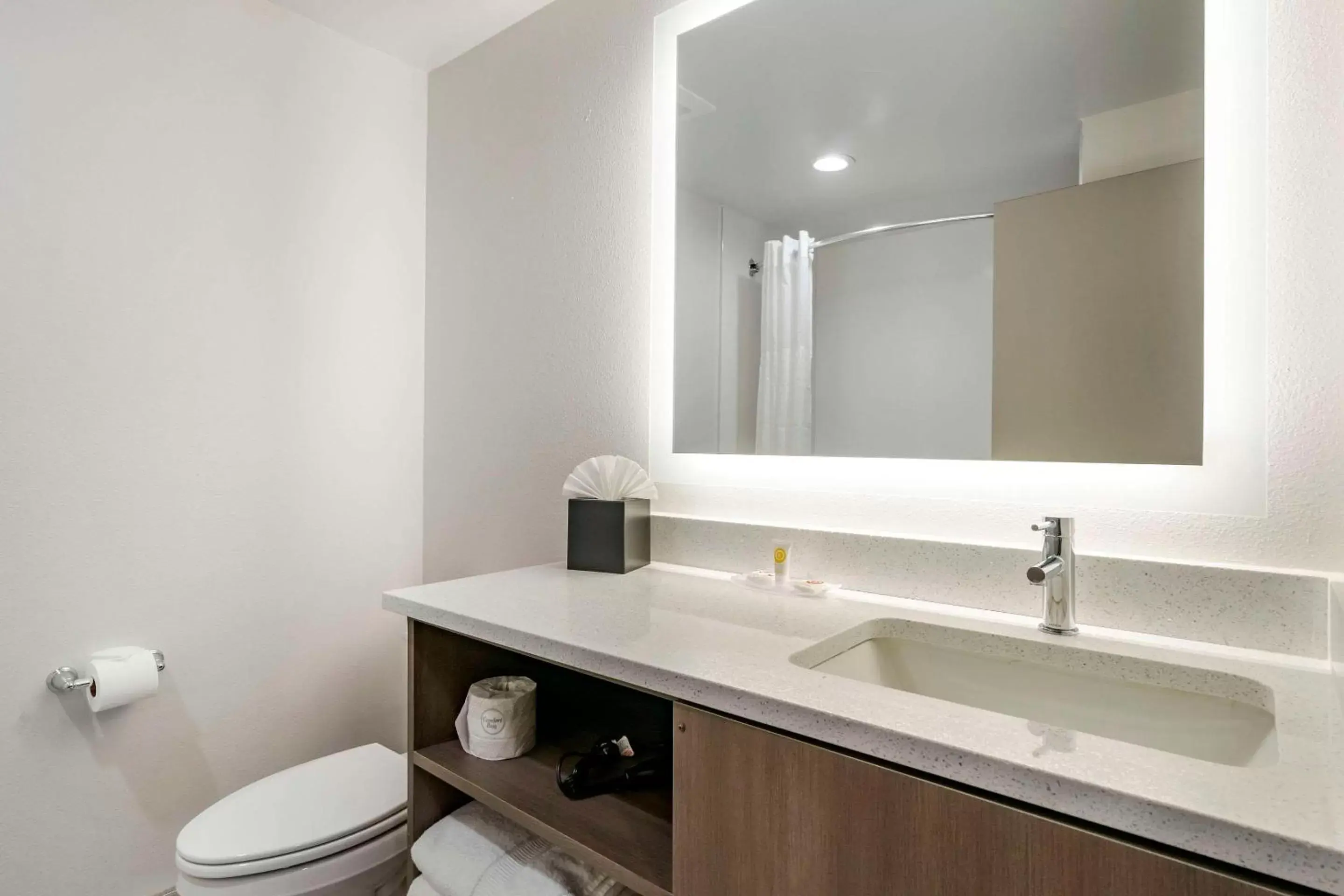 Bedroom, Bathroom in Comfort Inn & Suites New Port Richey Downtown District