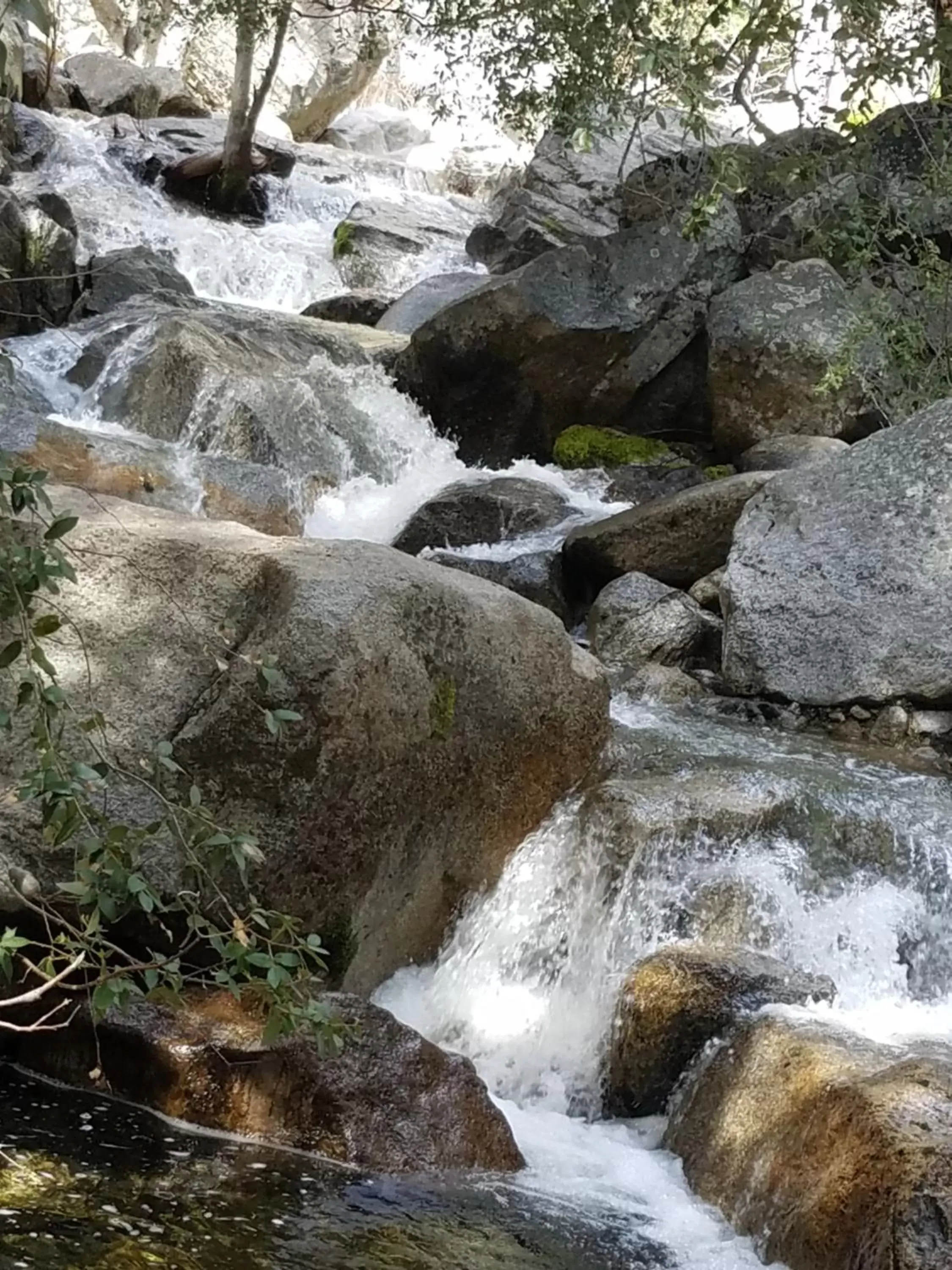 Natural Landscape in 5th Street Inn