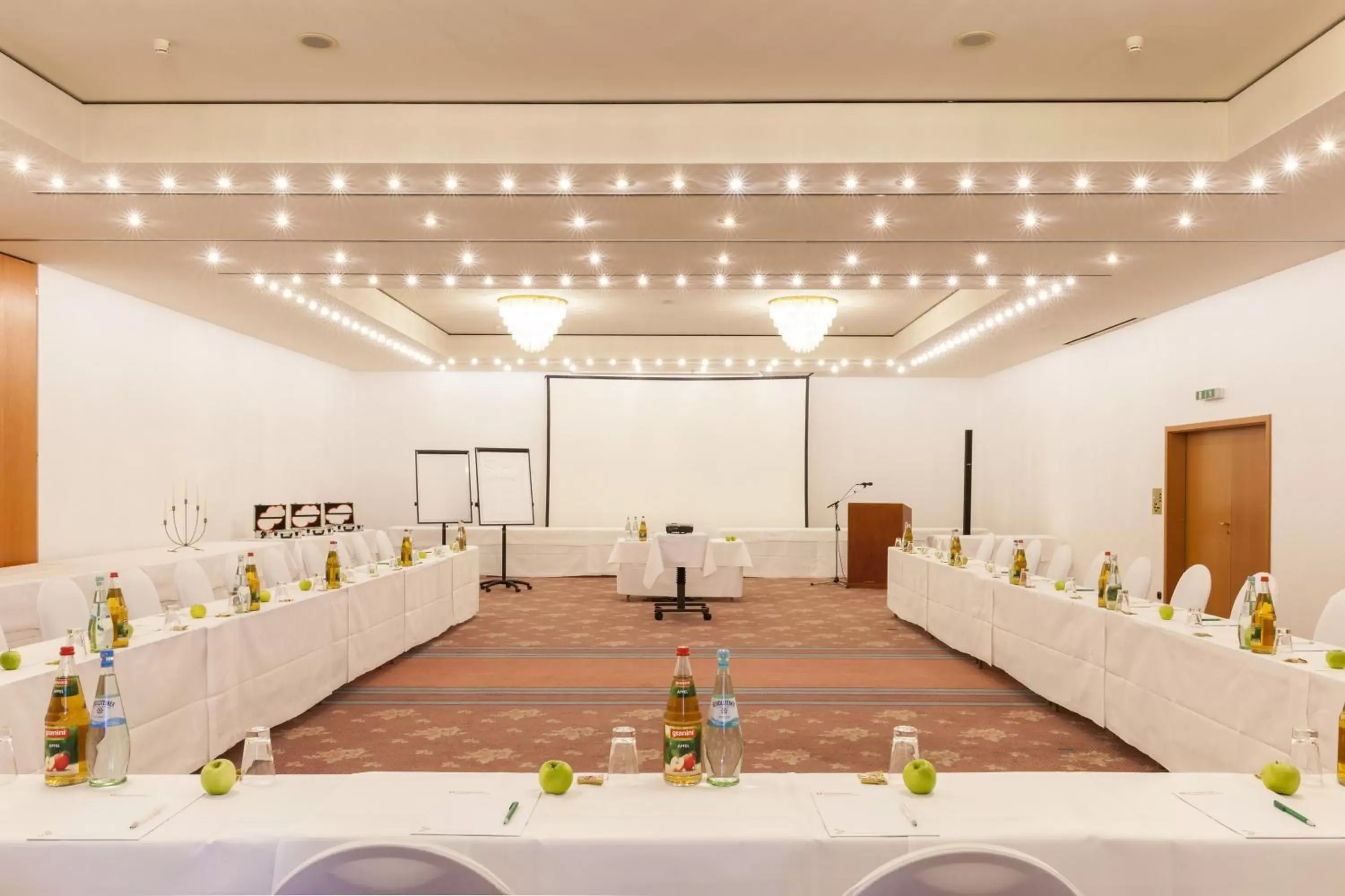 Banquet/Function facilities in Wyndham Garden Donaueschingen