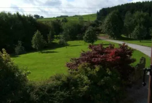 Natural landscape in Loadbrook Cottages