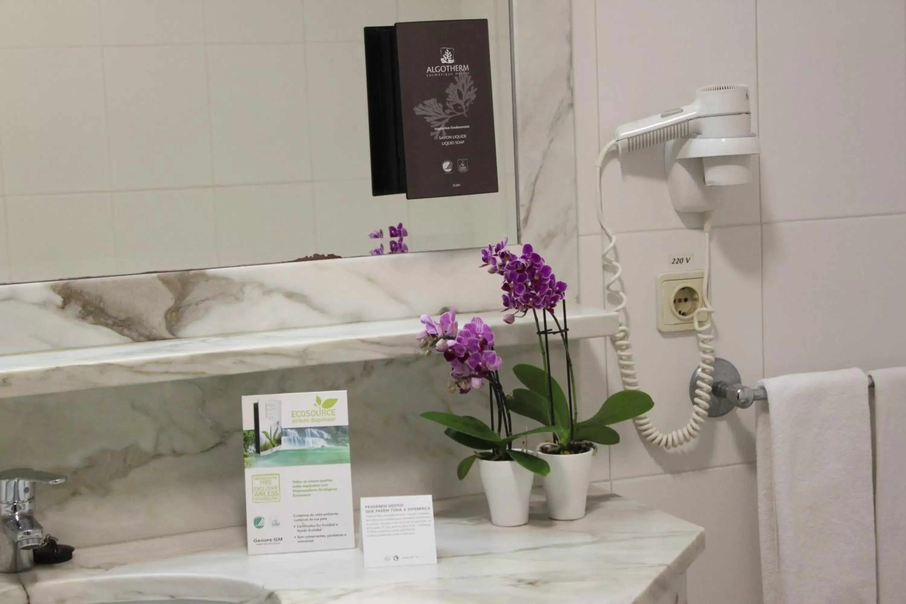 Decorative detail, Bathroom in Hotel Suave Mar