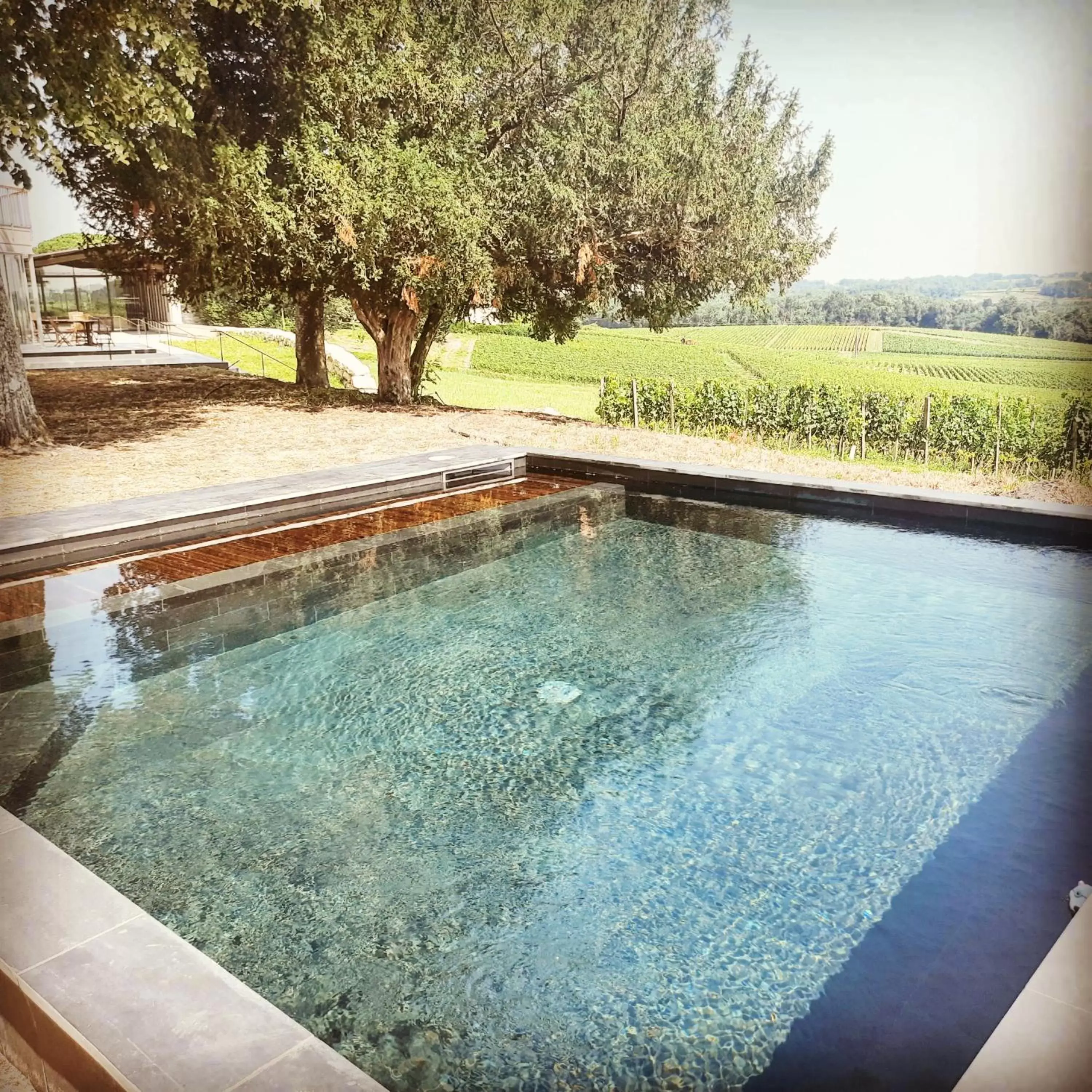 Pool view, Swimming Pool in Le logis de Valandraud