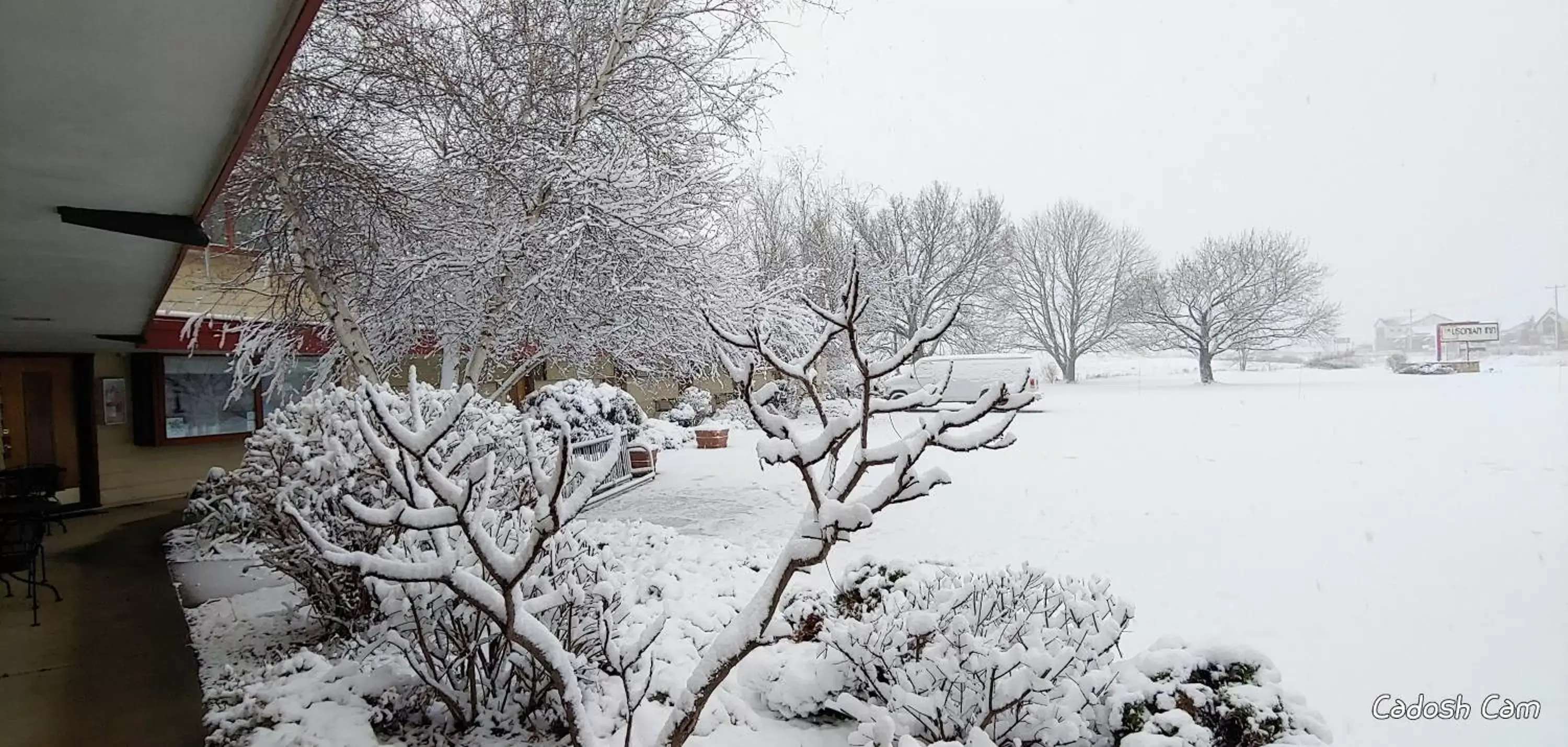 Property building, Winter in The Usonian Inn LLC